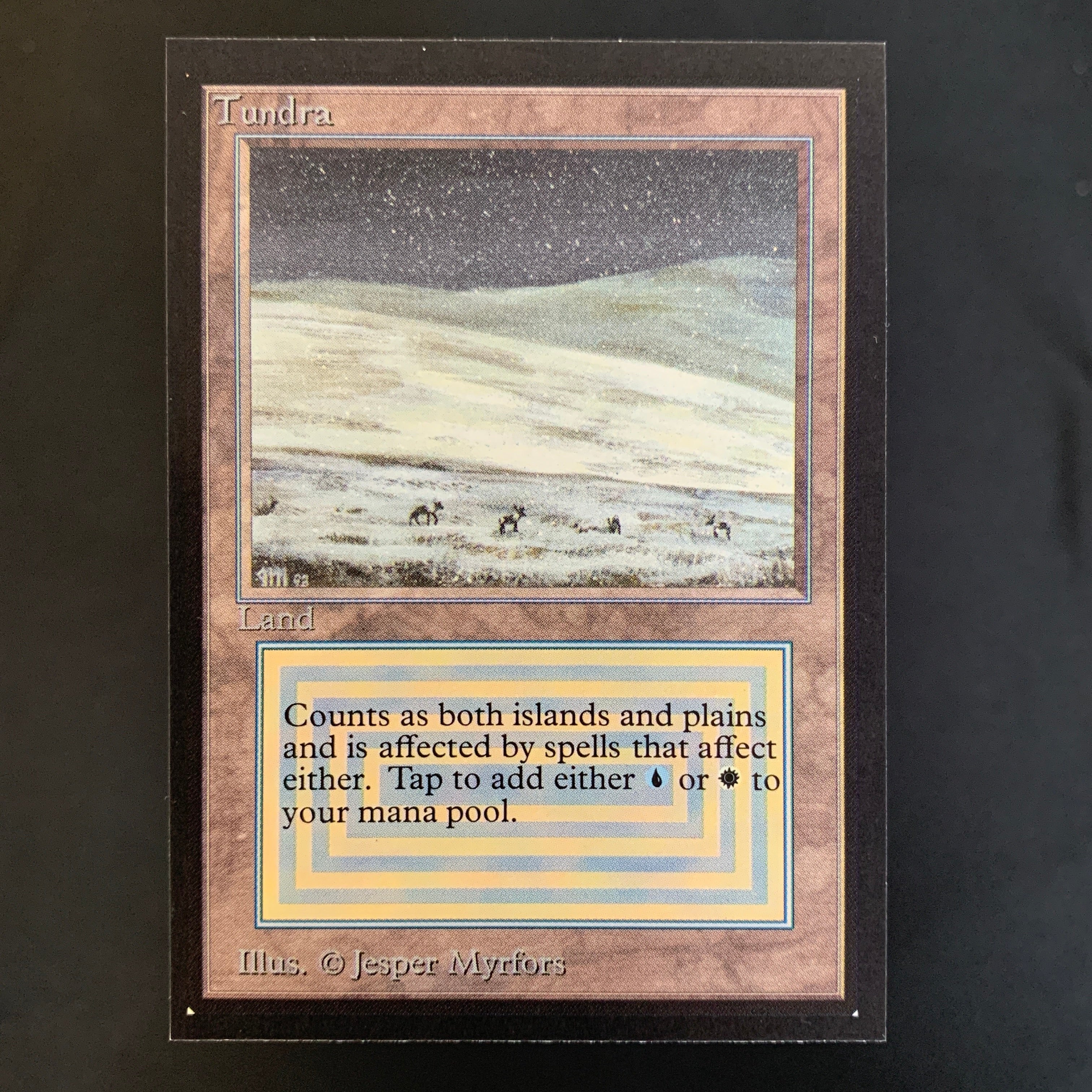 MTG Singles - Tundra - Collectors' Edition -