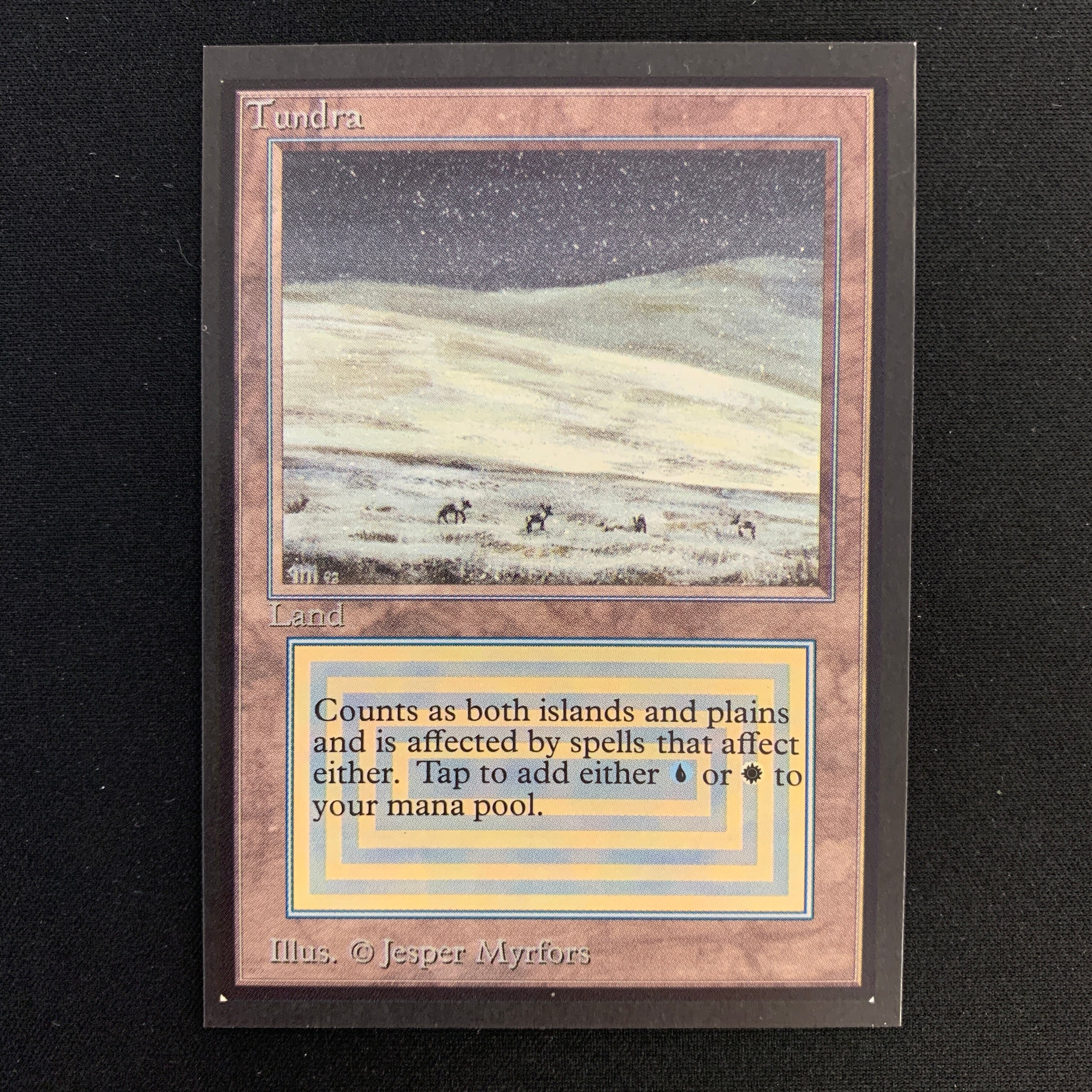 MTG Singles - Tundra - Collectors' Edition -
