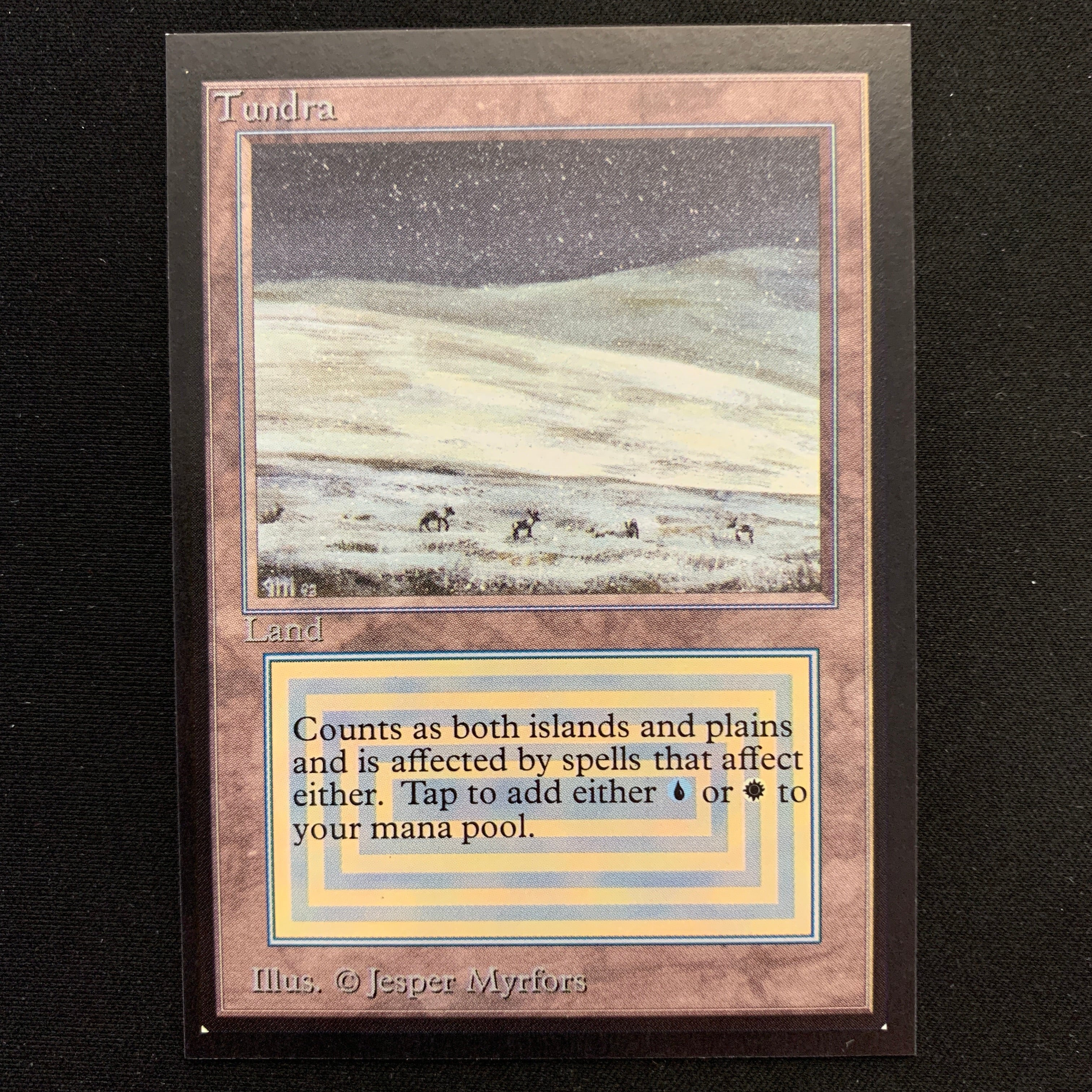 MTG Singles - Tundra - Collectors' Edition -