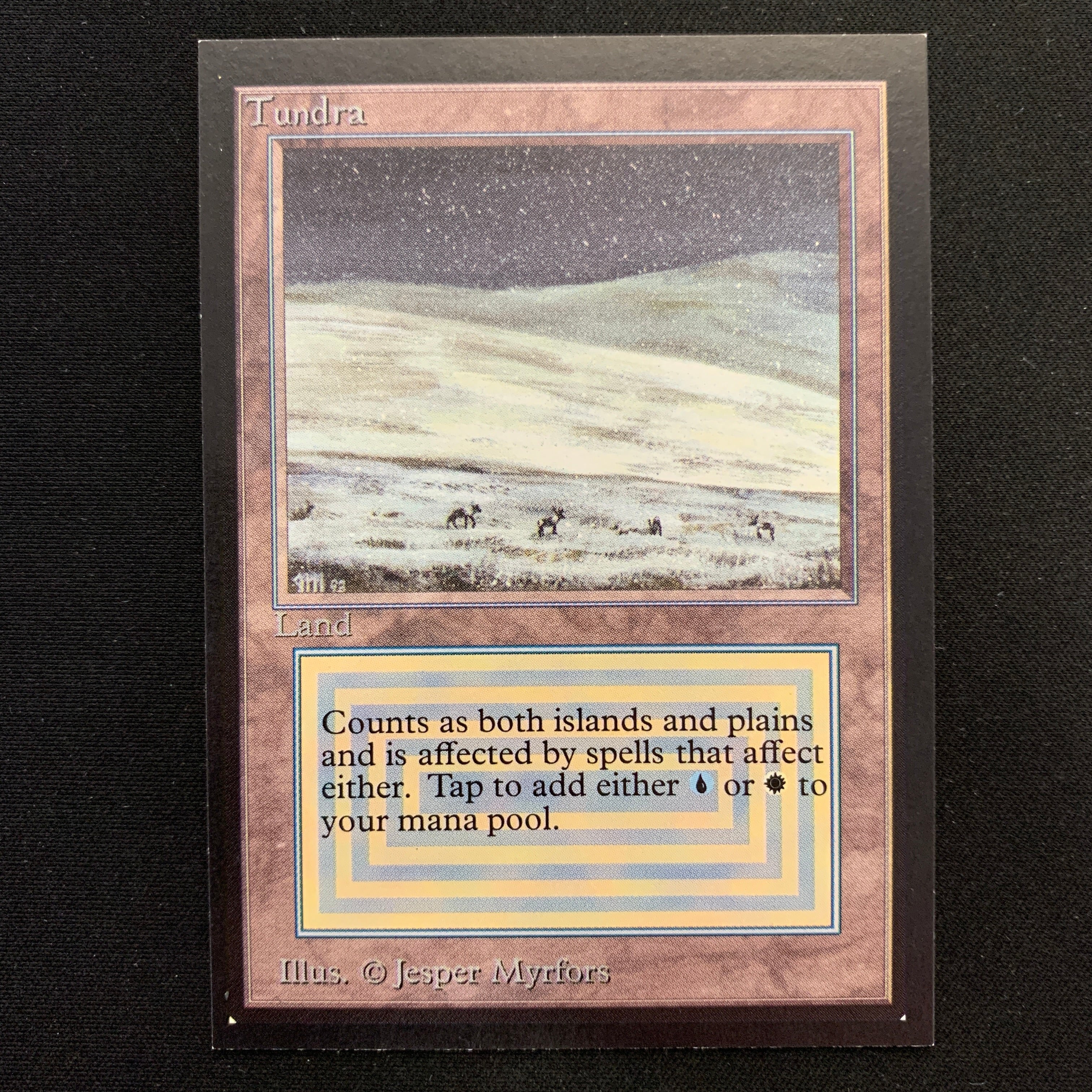 MTG Singles - Tundra - Collectors' Edition -