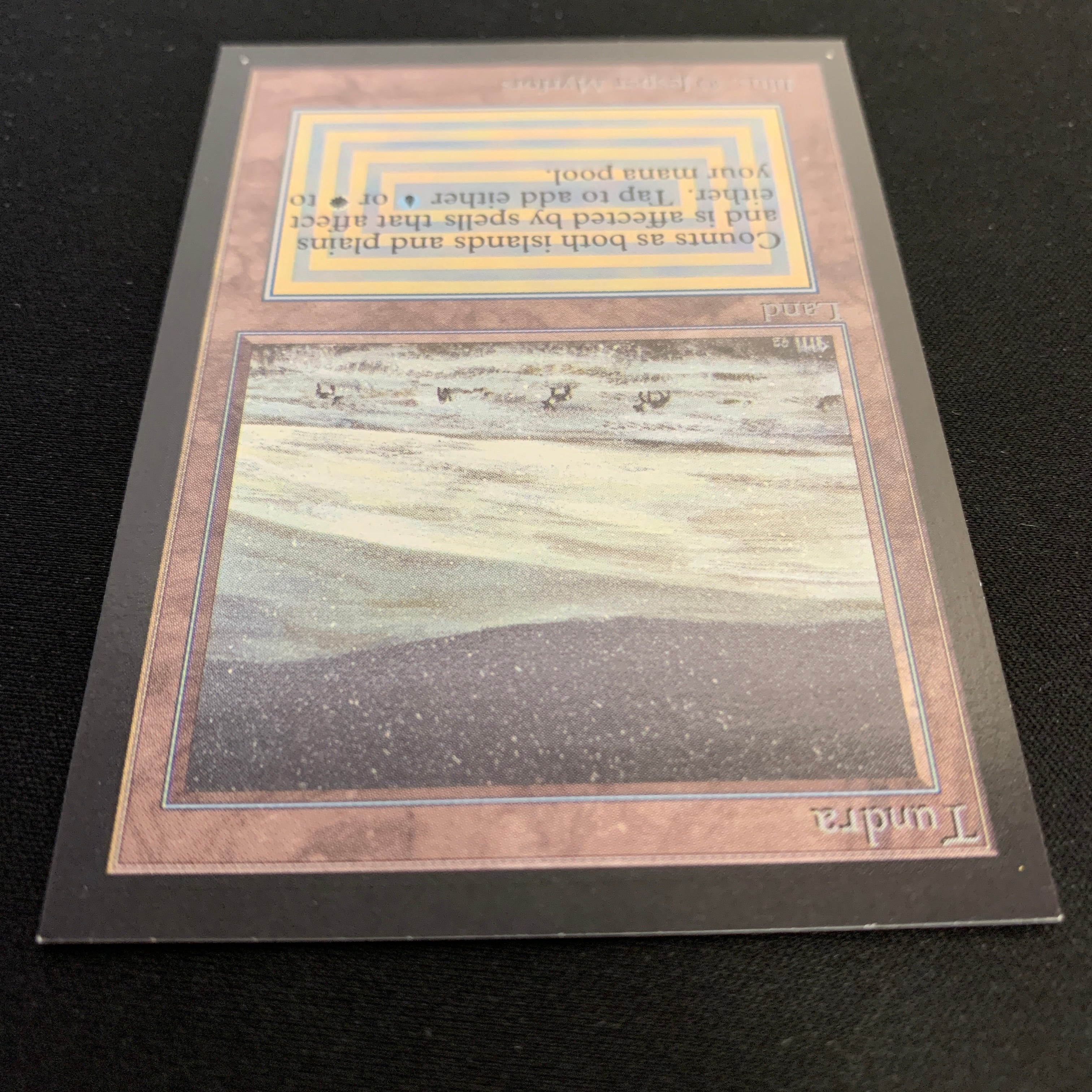 MTG Singles - Tundra - Collectors' Edition -