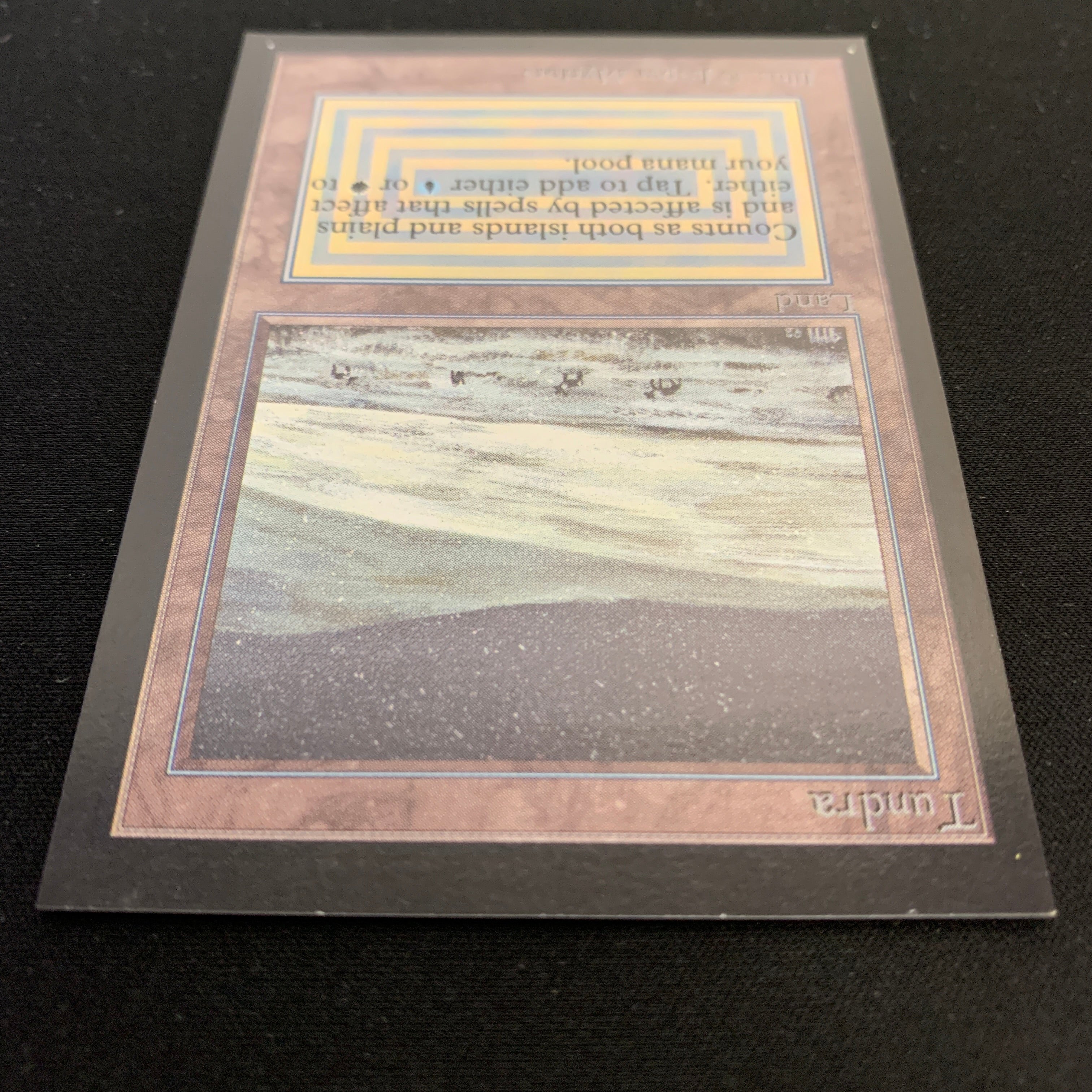 MTG Singles - Tundra - Collectors' Edition -