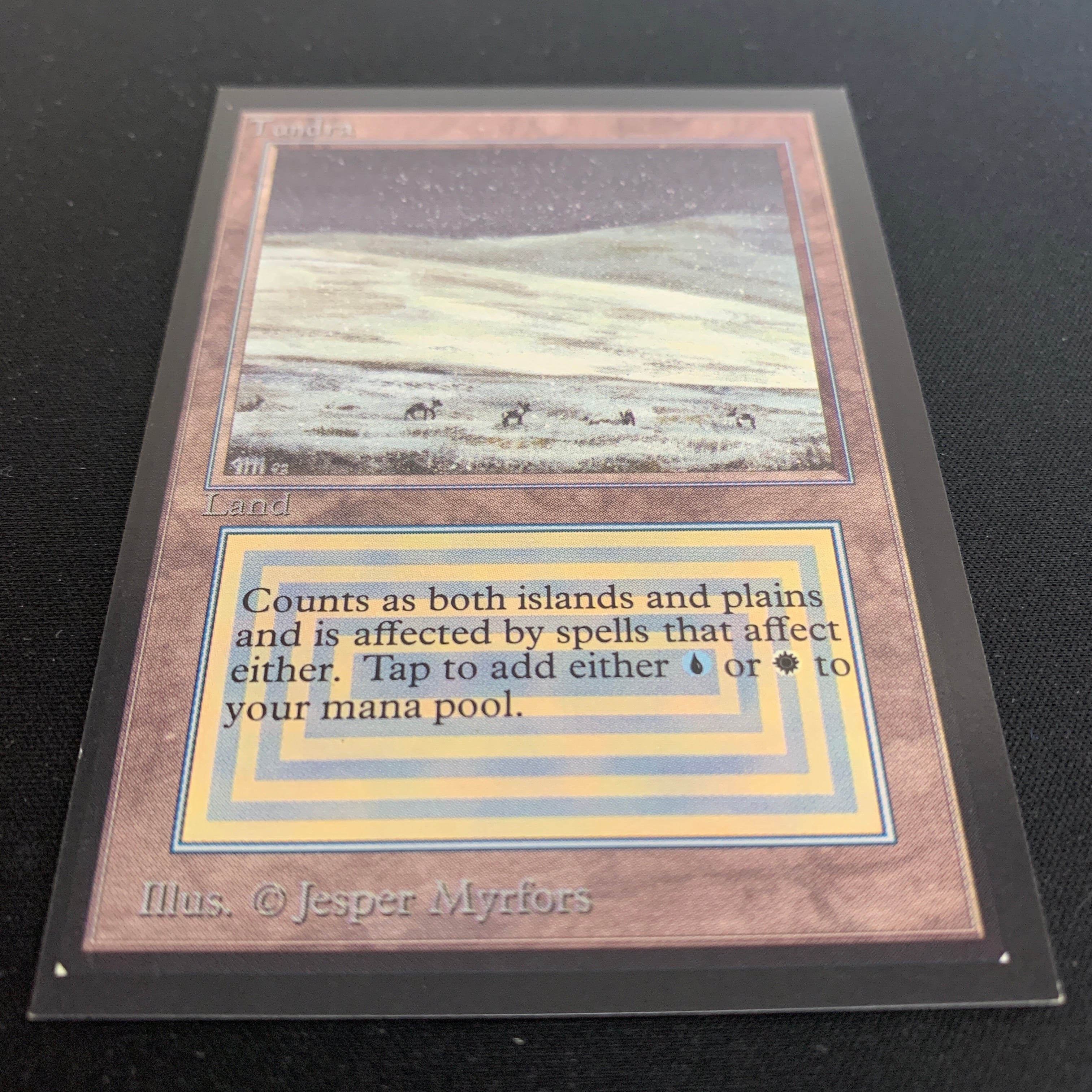 MTG Singles - Tundra - Collectors' Edition -