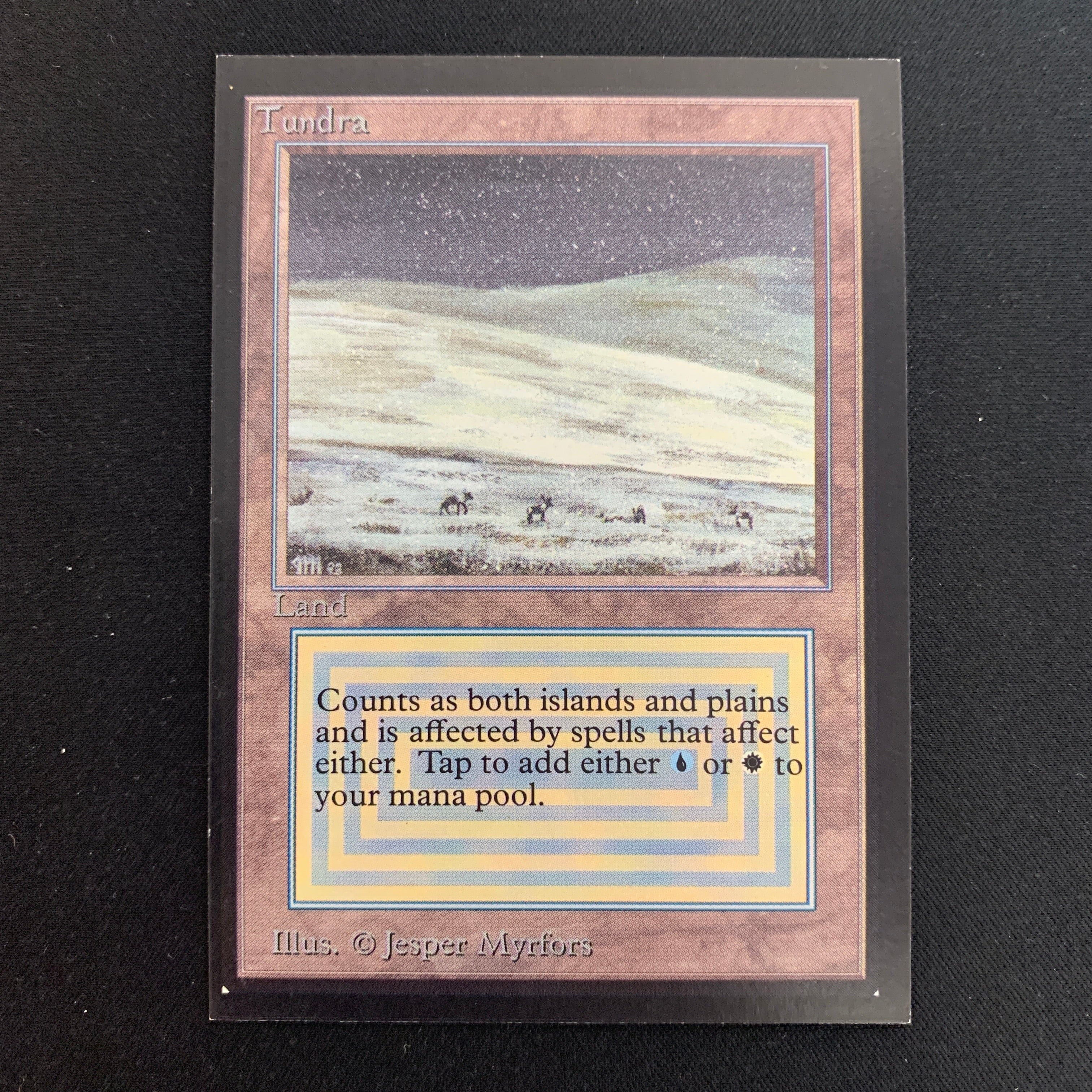 MTG Singles - Tundra - Collectors' Edition -