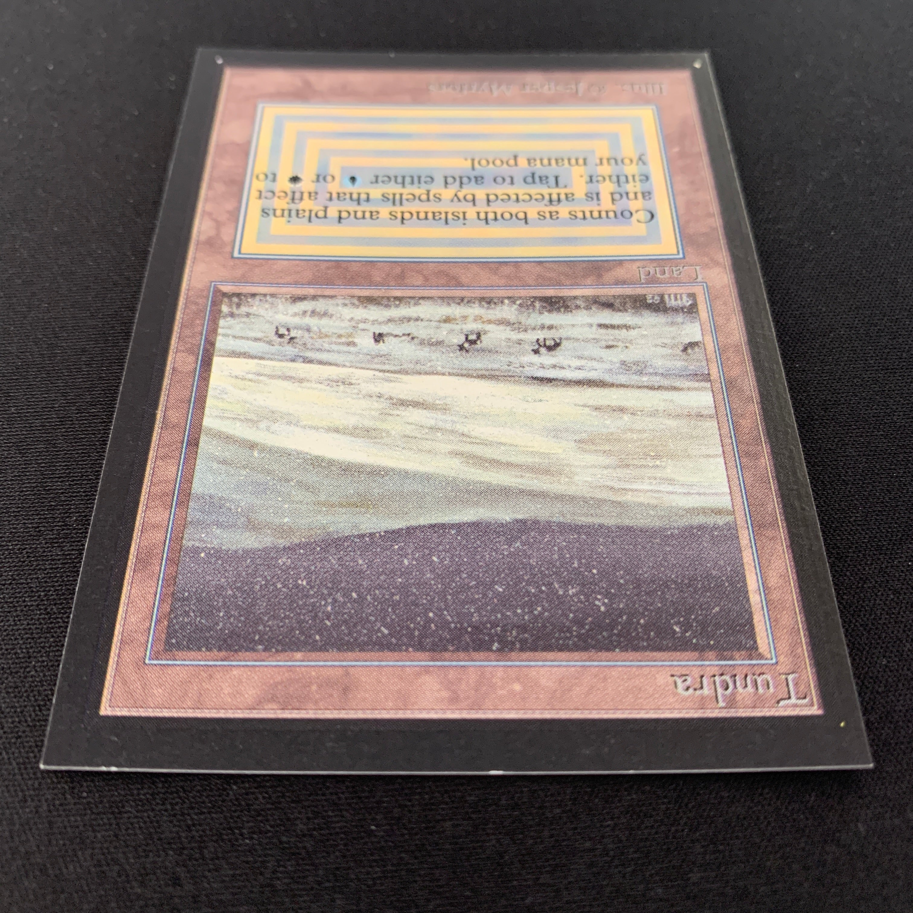 MTG Singles - Tundra - Collectors' Edition -