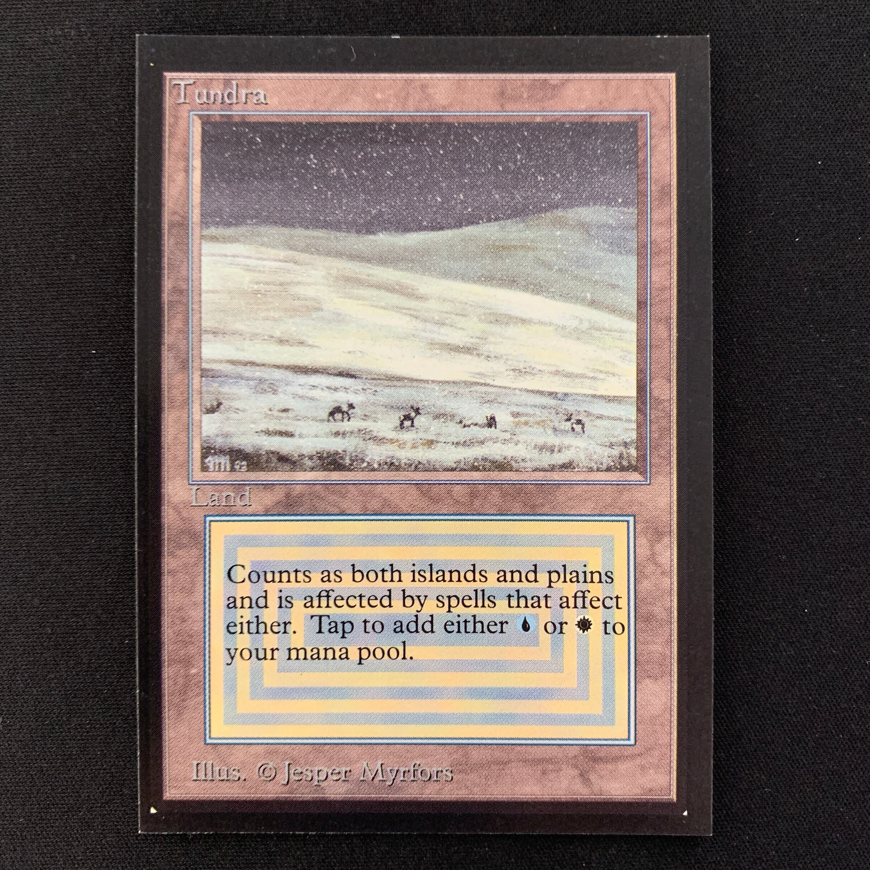 MTG Singles - Tundra - Collectors' Edition -