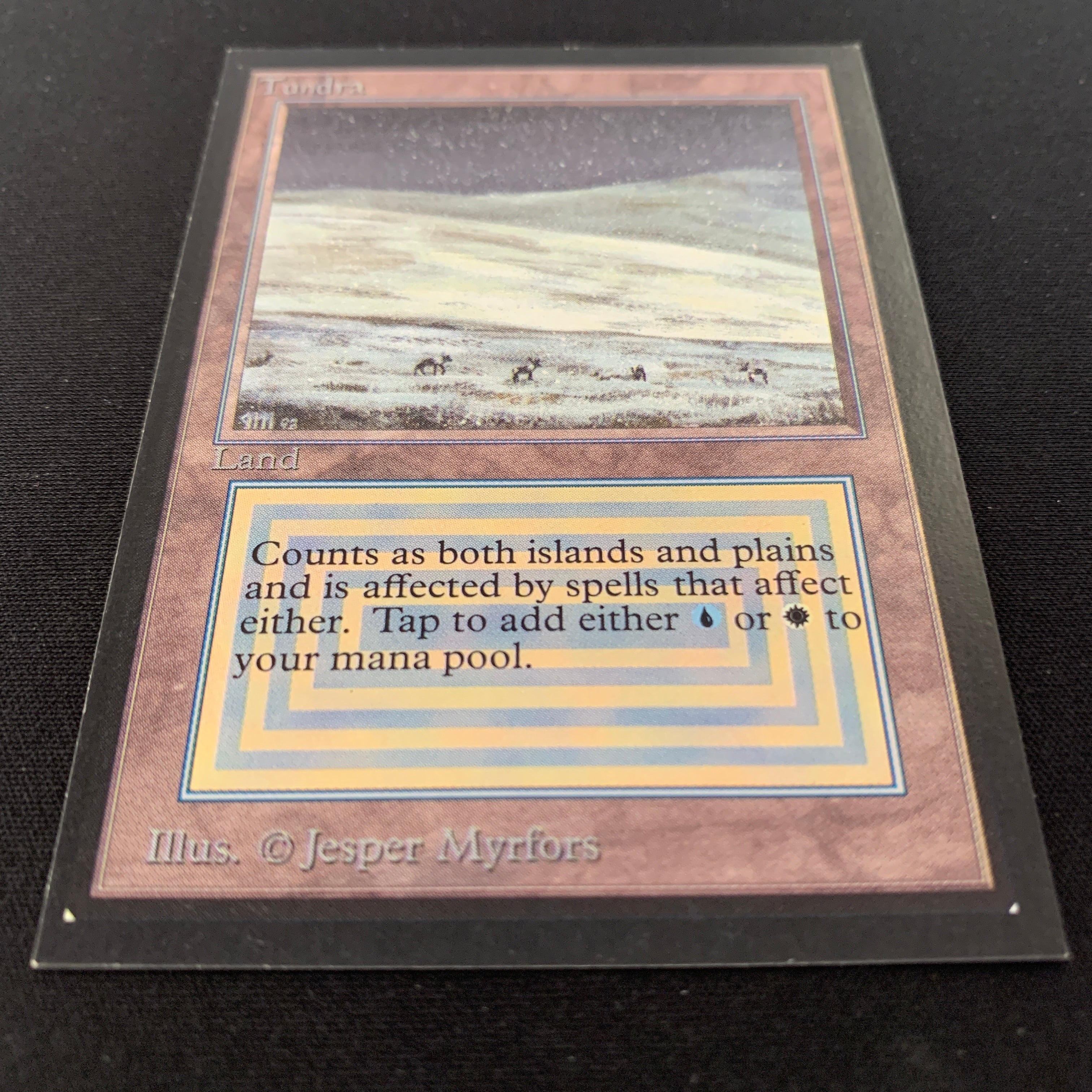 MTG Singles - Tundra - Collectors' Edition -