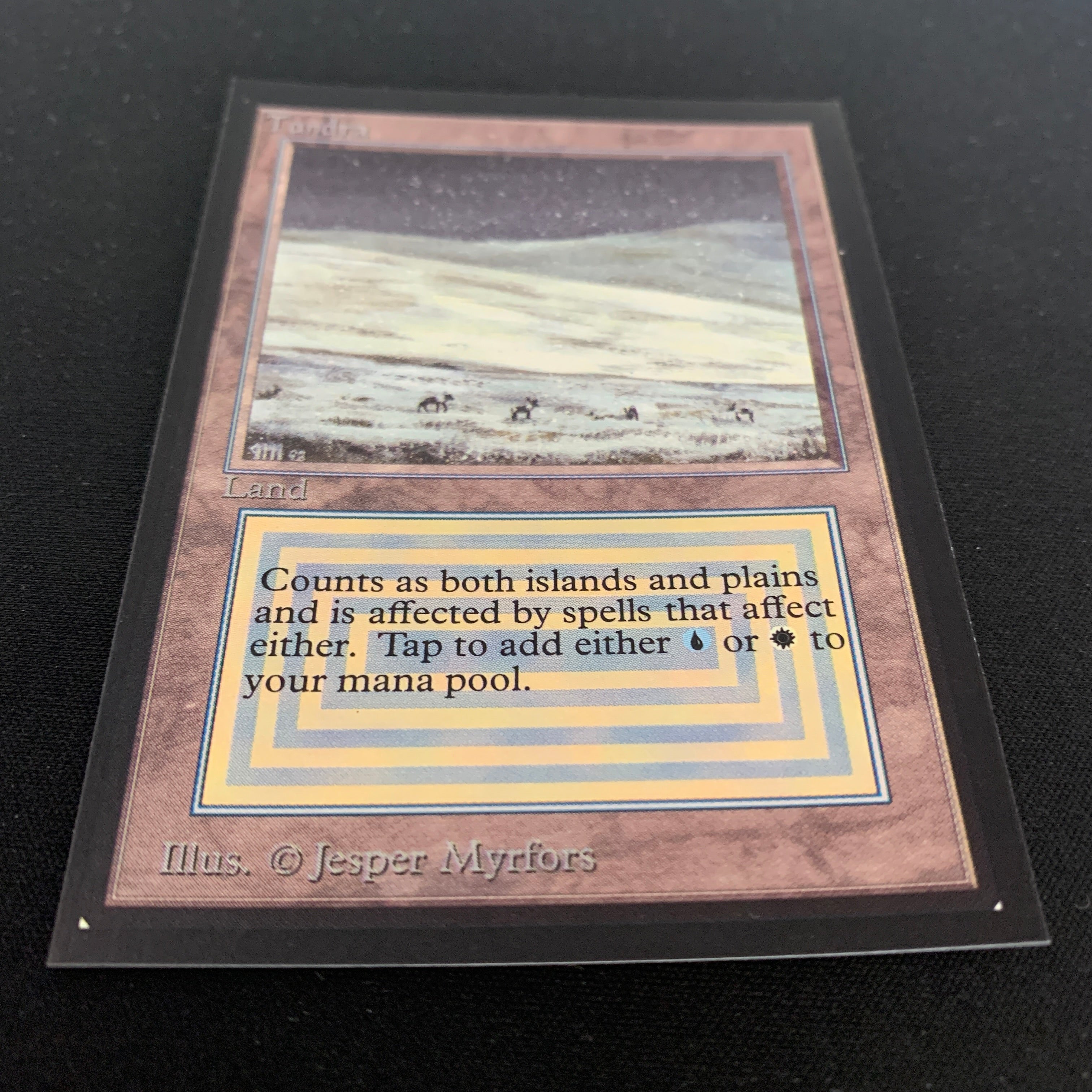 MTG Singles - Tundra - Collectors' Edition -