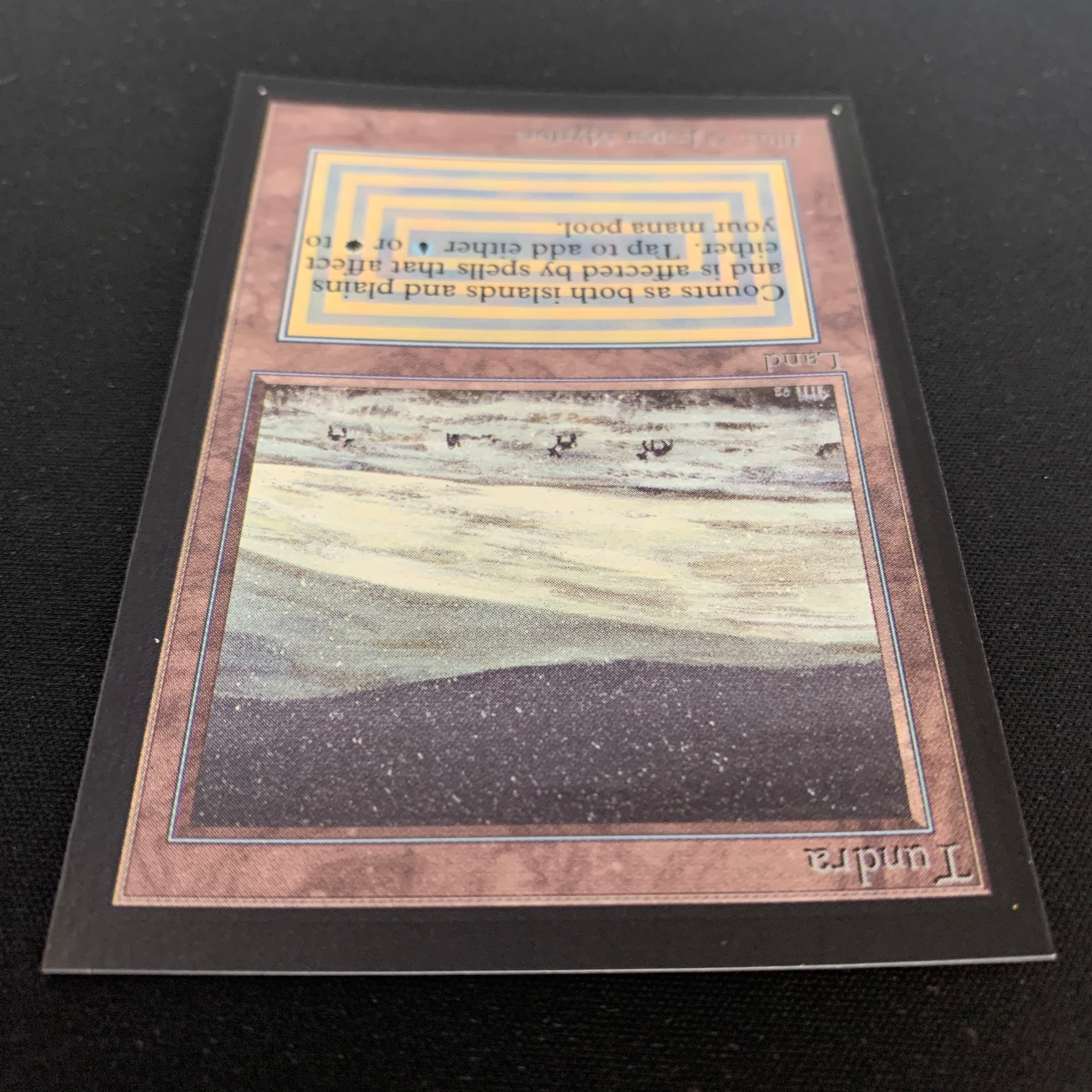 MTG Singles - Tundra - Collectors' Edition -