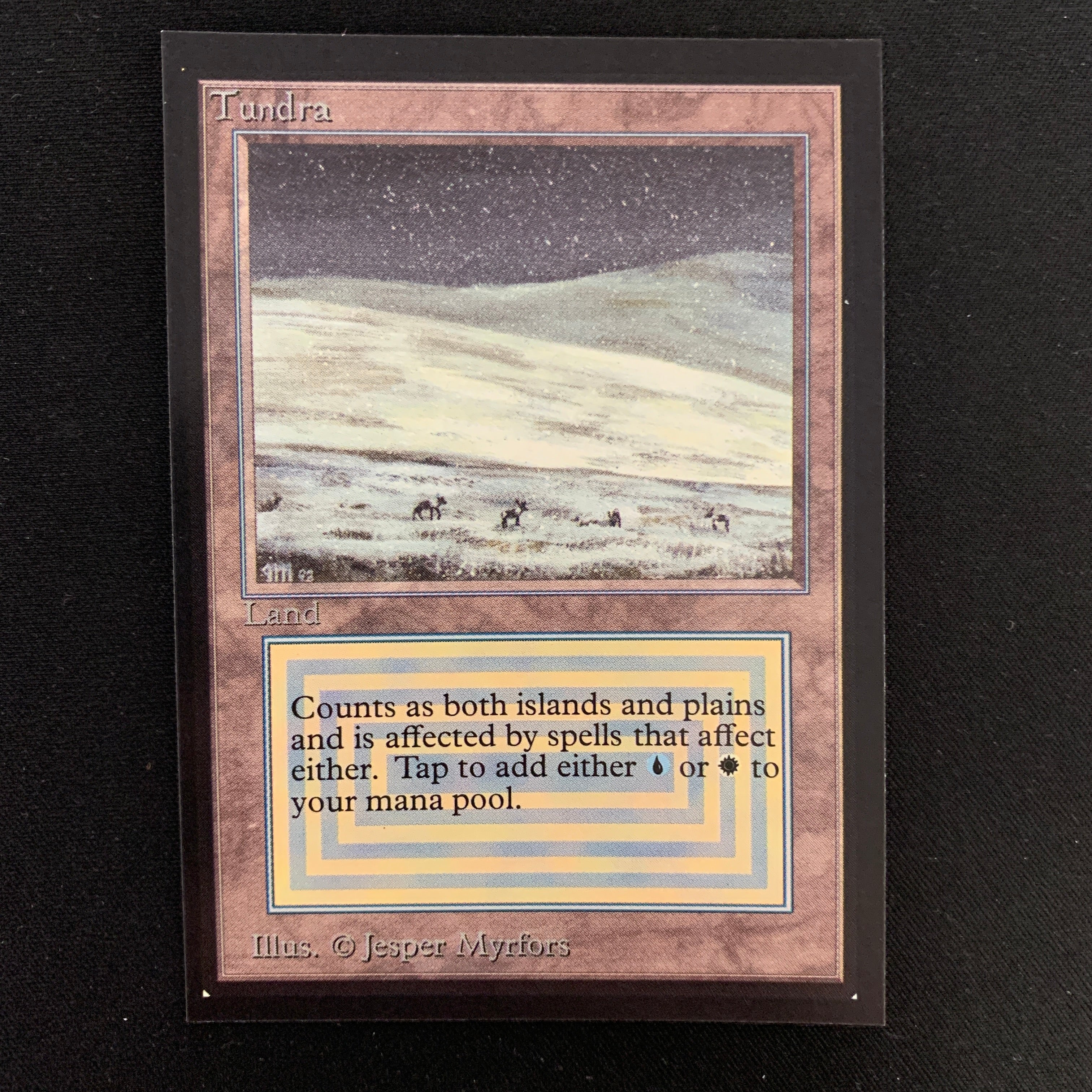 MTG Singles - Tundra - Collectors' Edition -