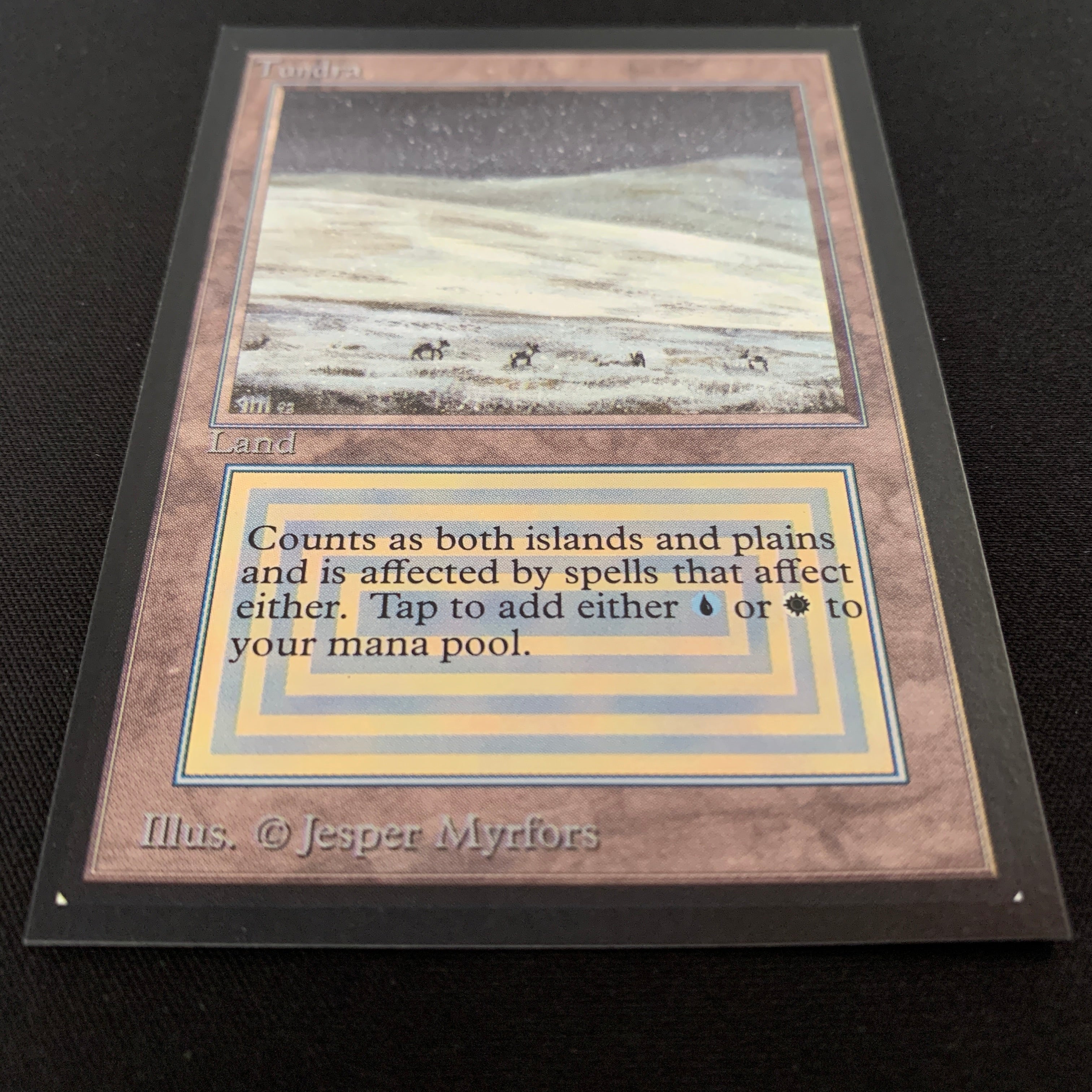 MTG Singles - Tundra - Collectors' Edition -