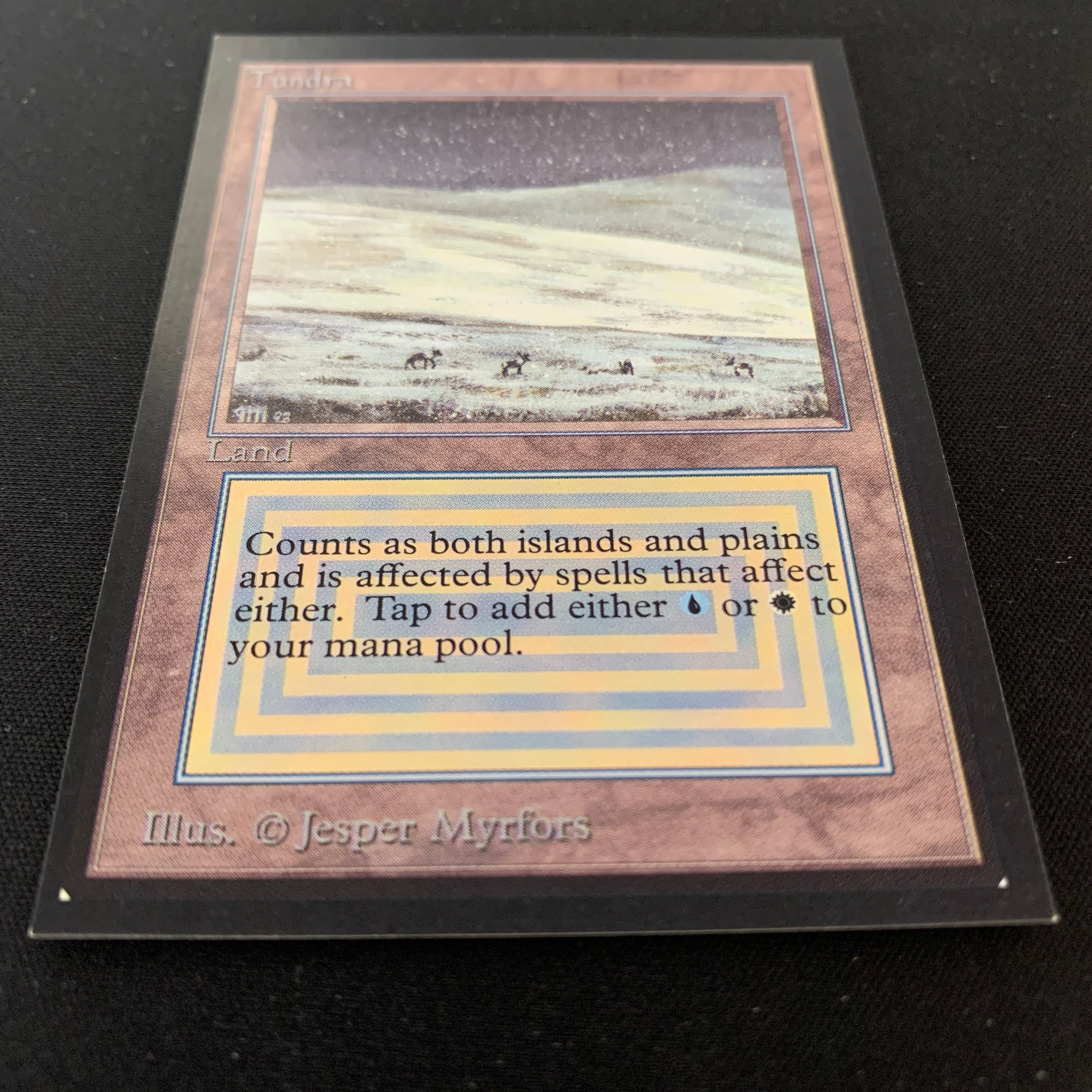 MTG Singles - Tundra - Collectors' Edition -