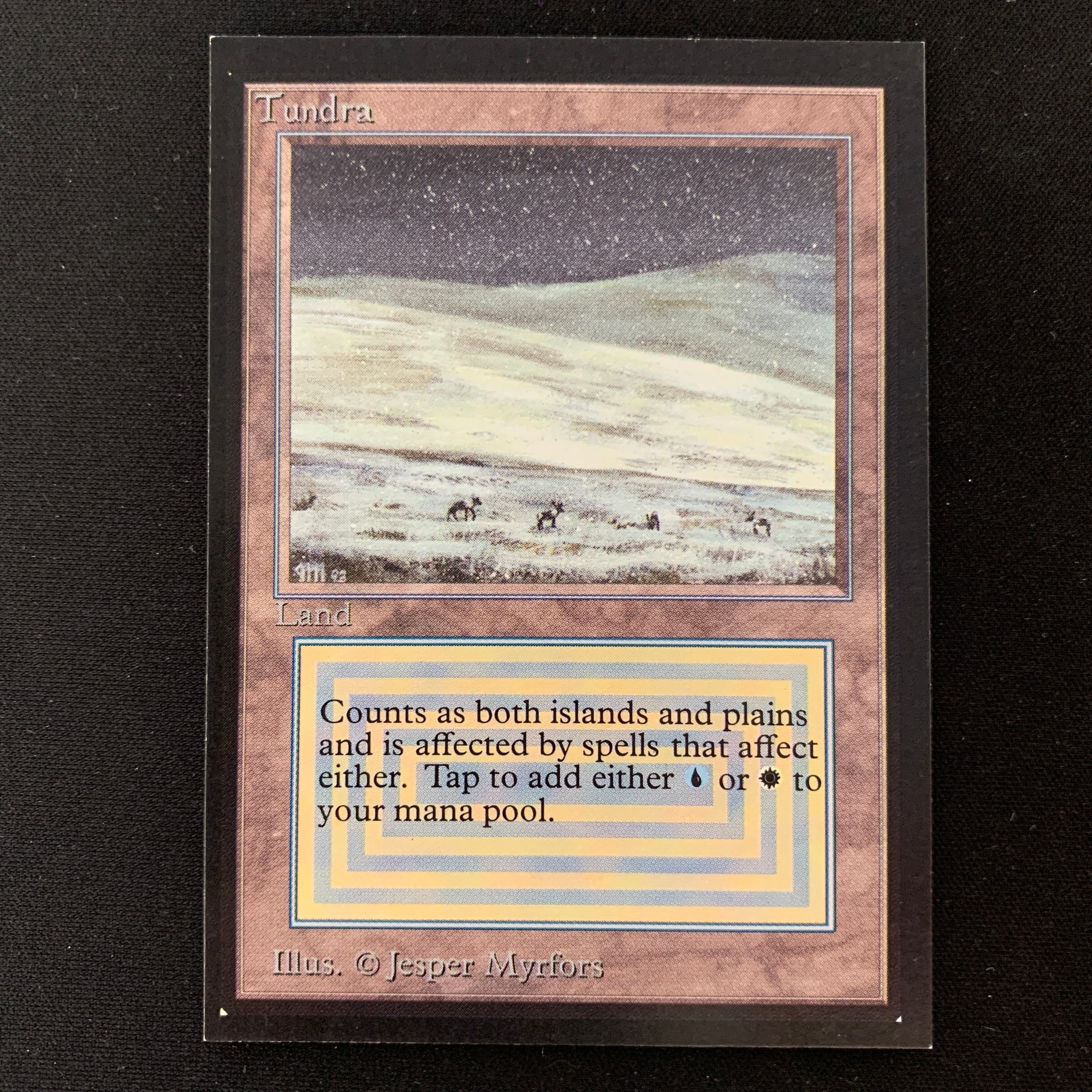 MTG Singles - Tundra - Collectors' Edition -