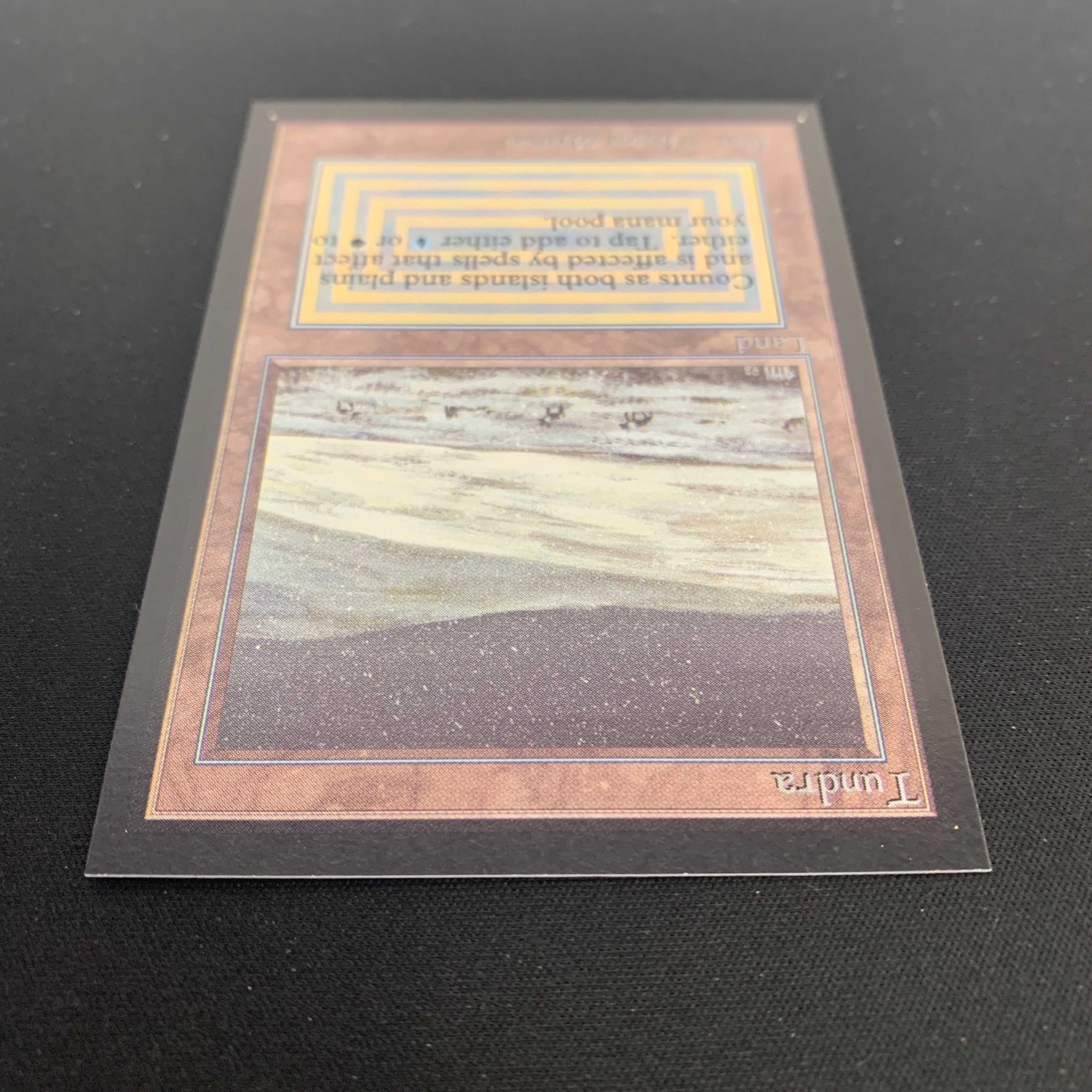 MTG Singles - Tundra - International Edition -