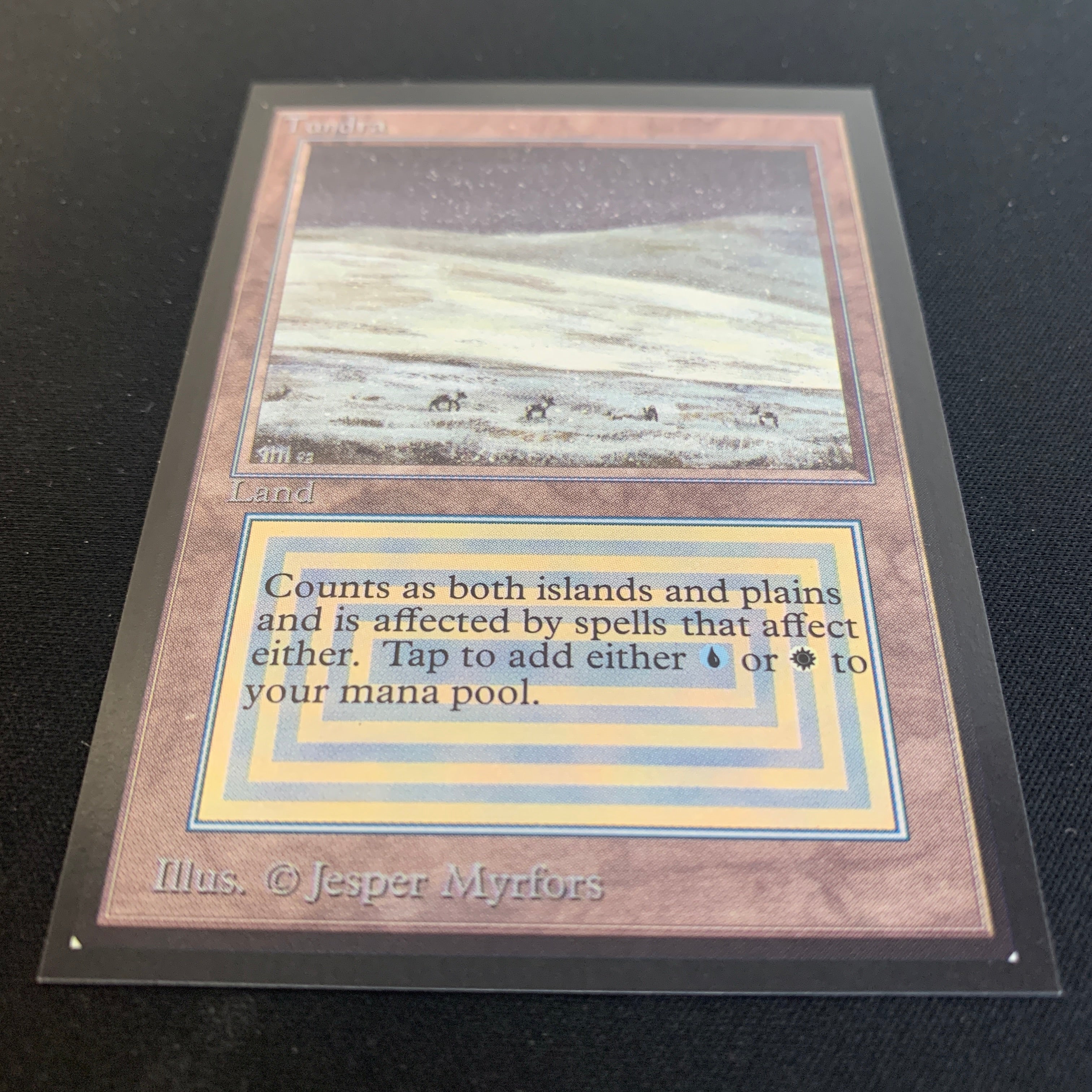 MTG Singles - Tundra - International Edition -