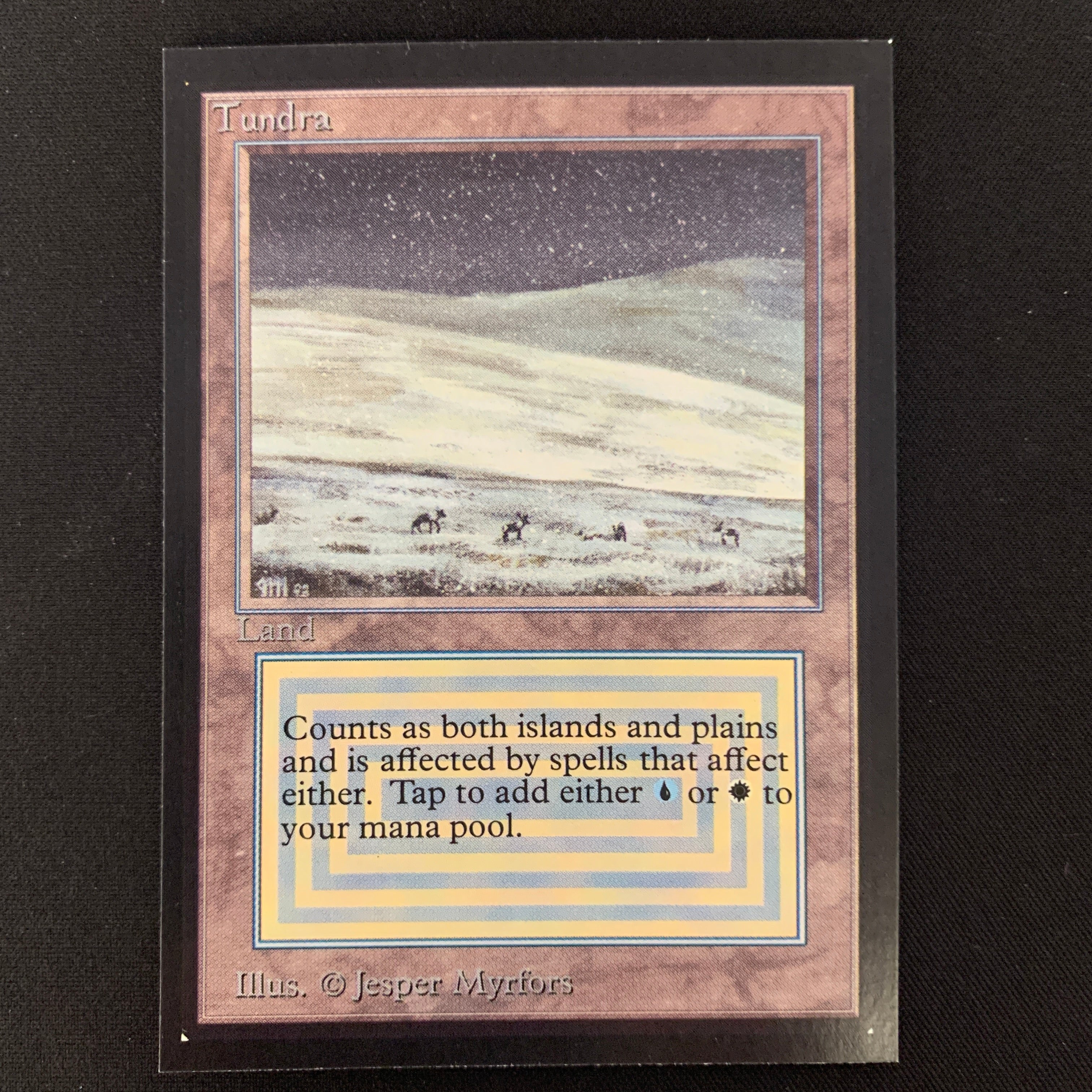 MTG Singles - Tundra - International Edition -