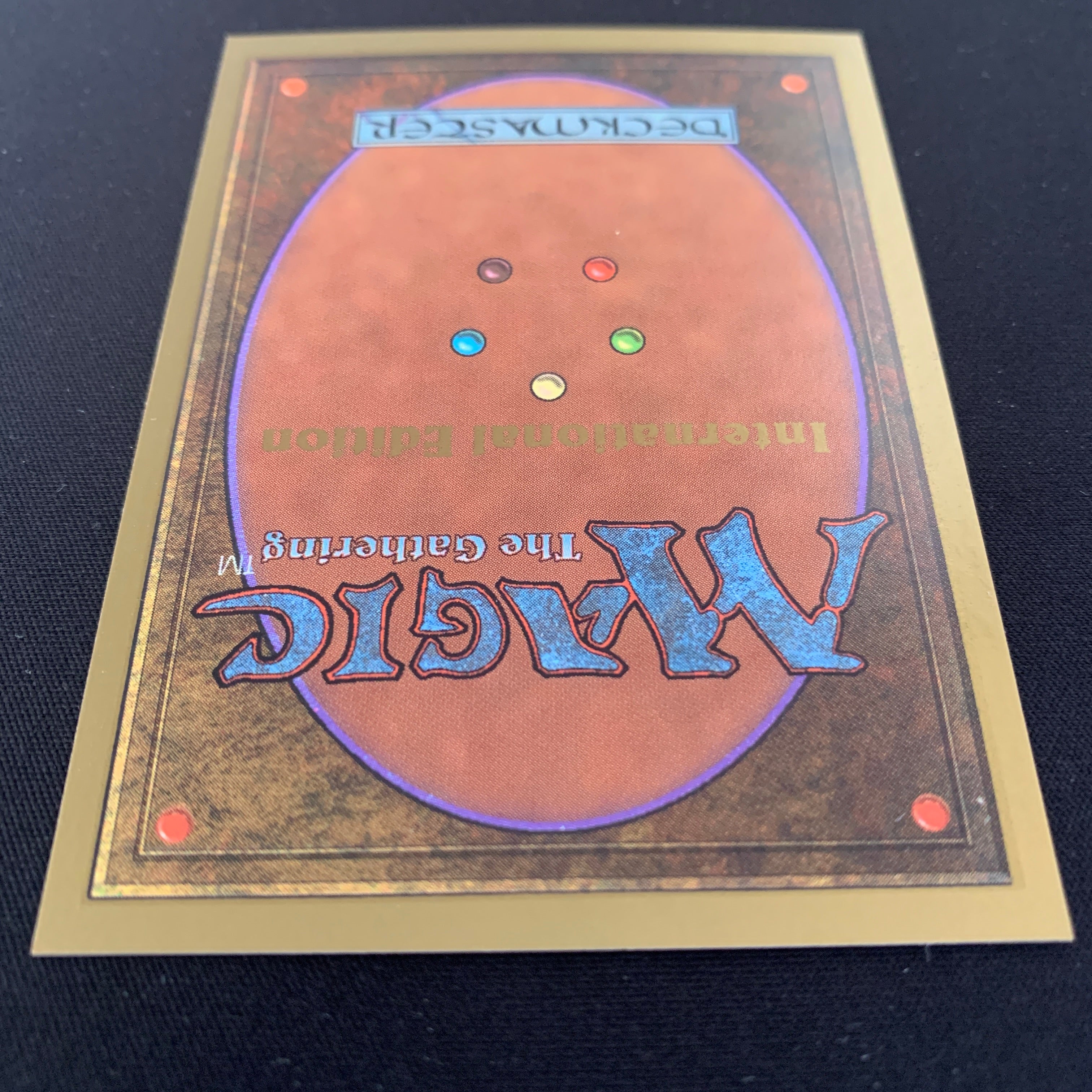 MTG Singles - Tundra - International Edition -