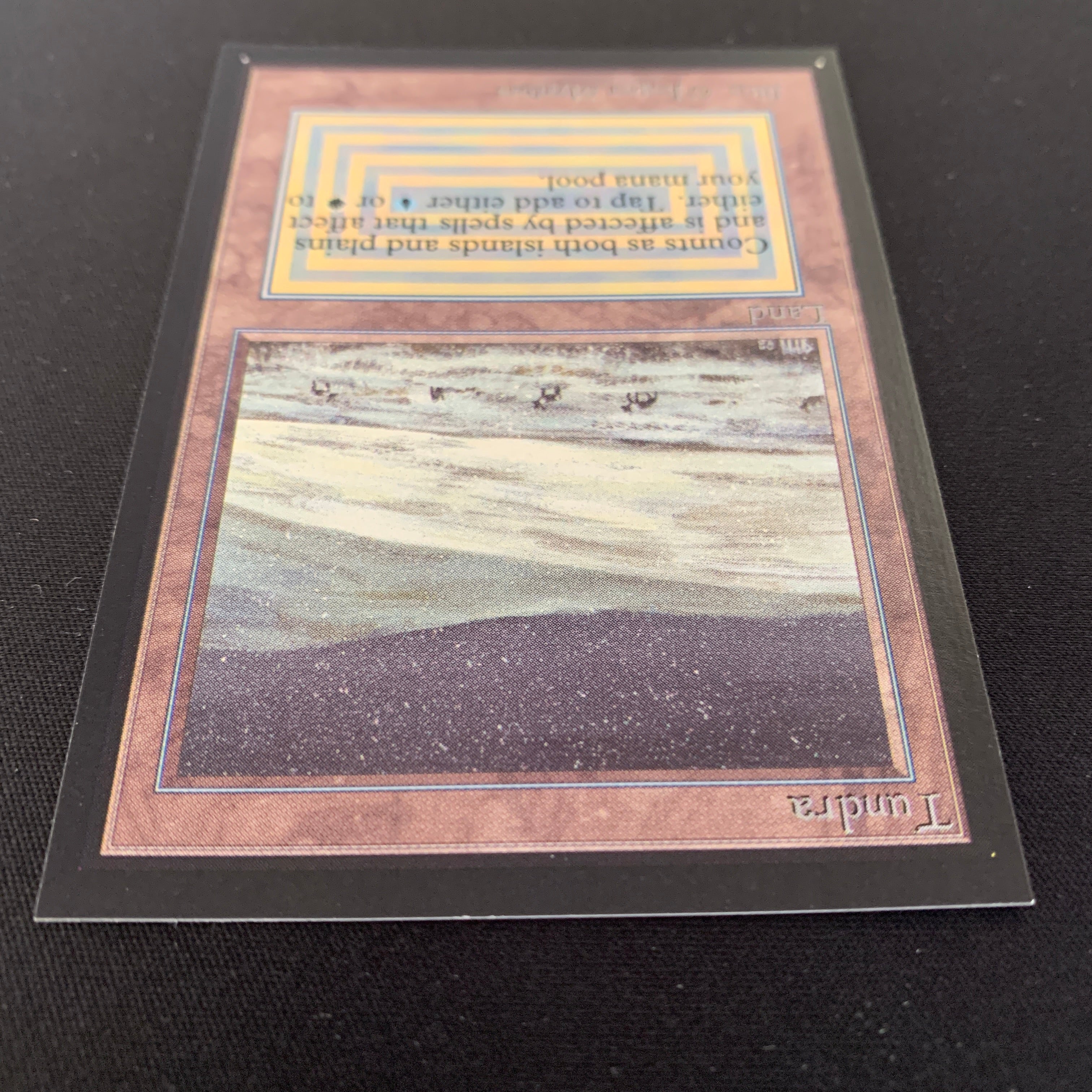 MTG Singles - Tundra - International Edition -