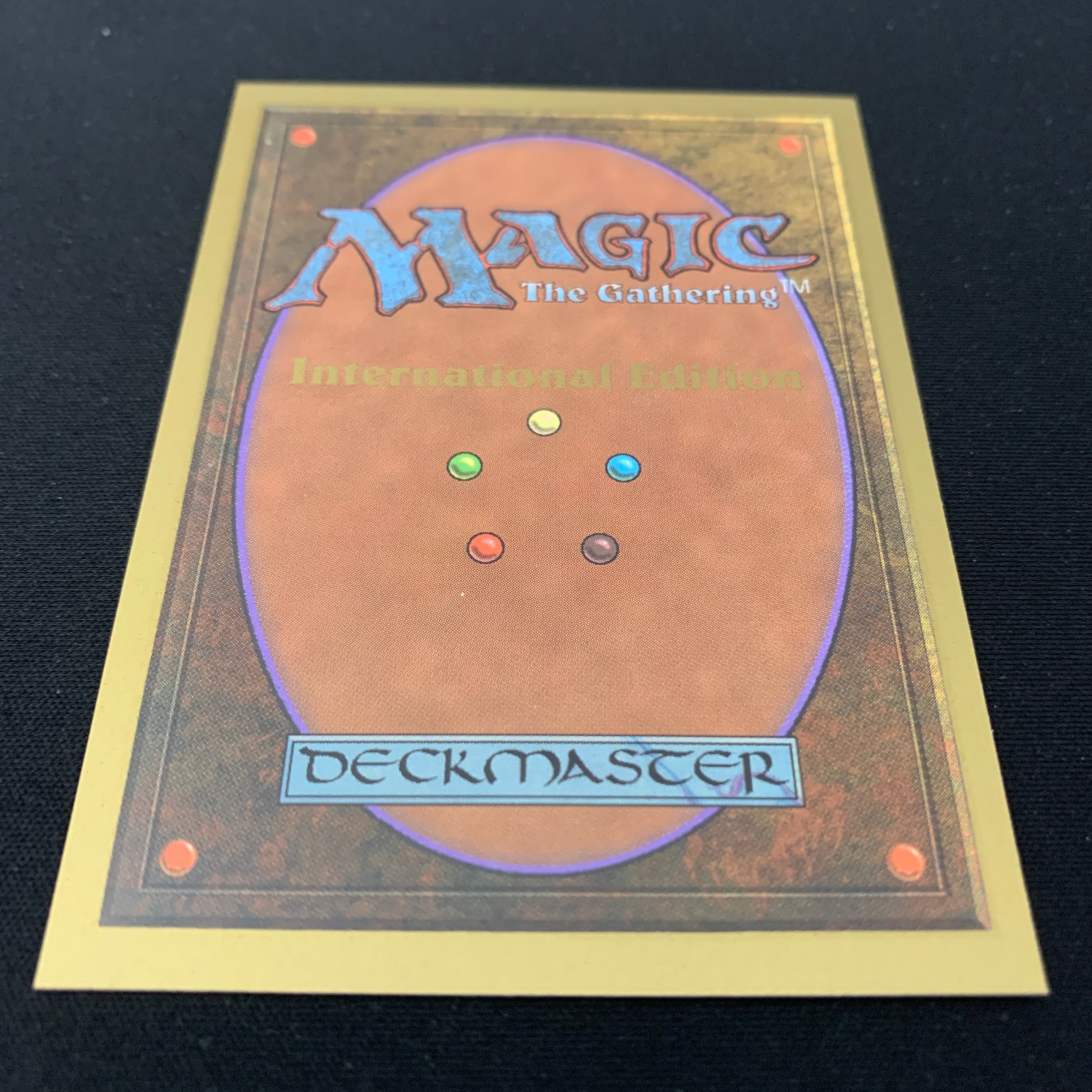 MTG Singles - Tundra - International Edition -