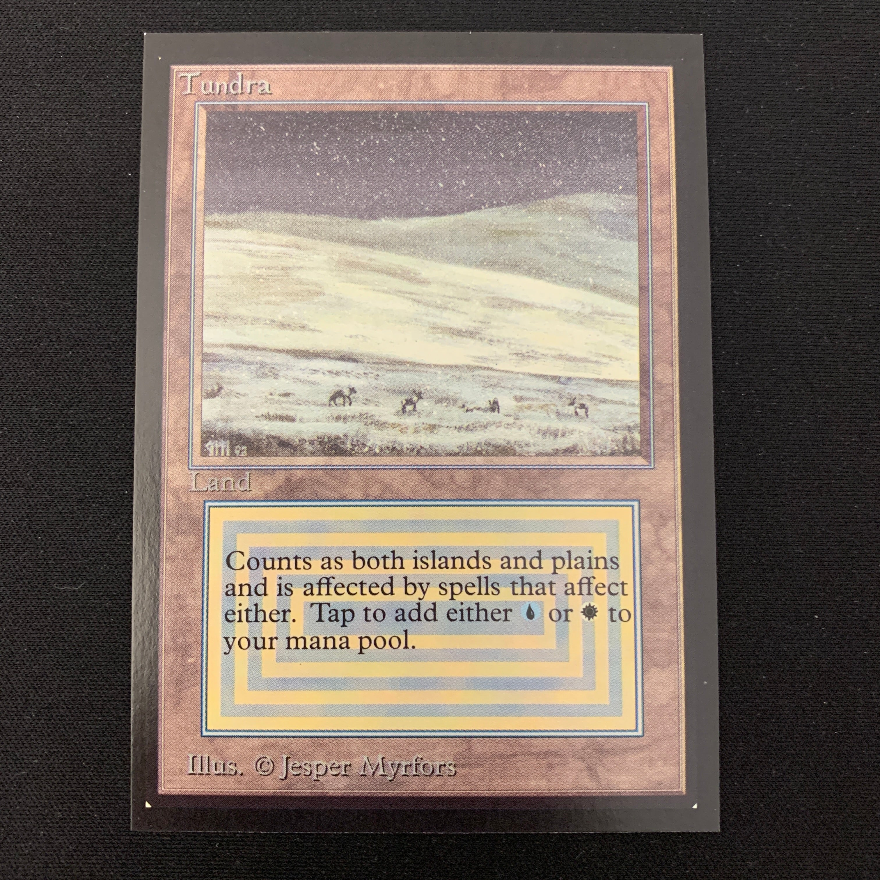 MTG Singles - Tundra - International Edition -