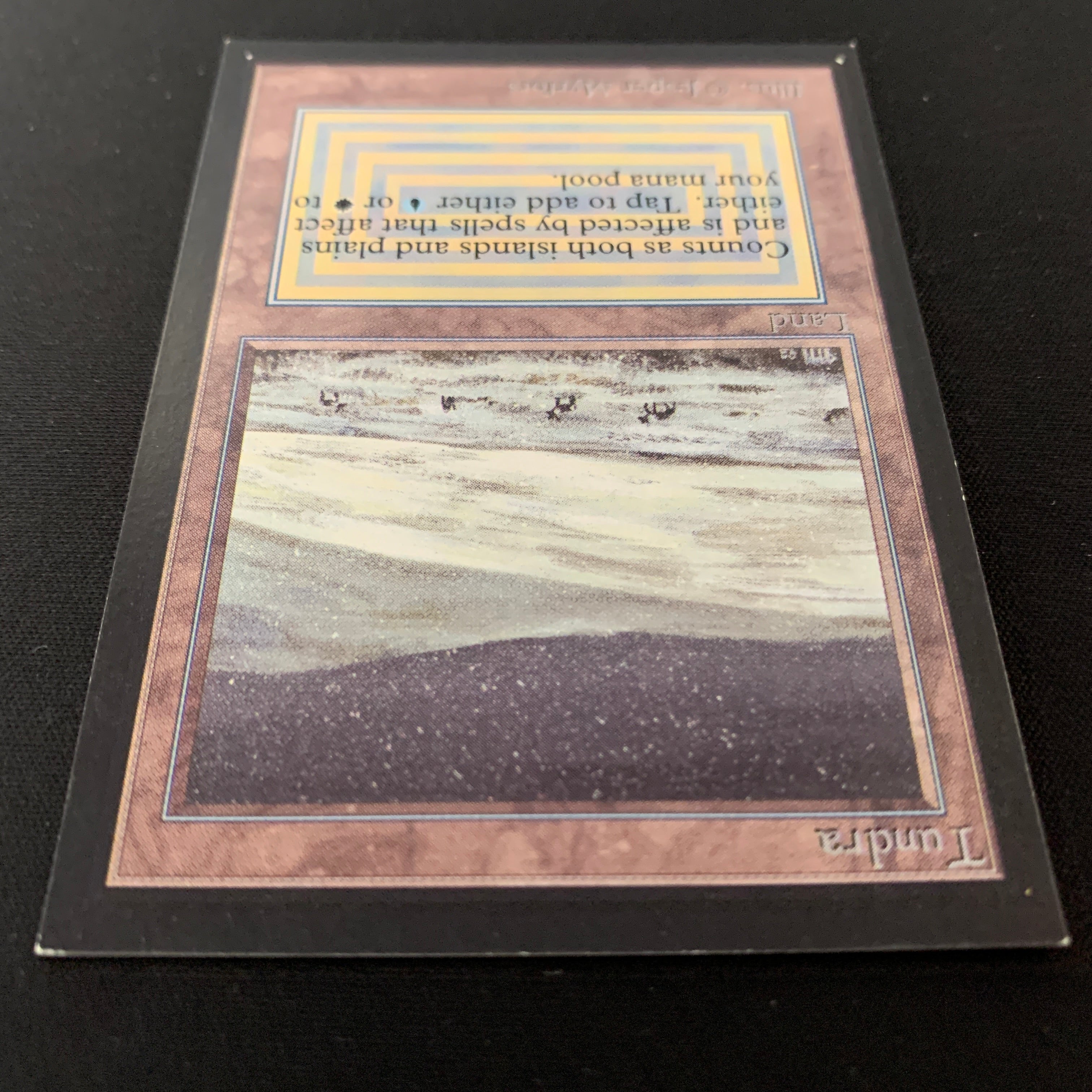 MTG Singles - Tundra - International Edition -