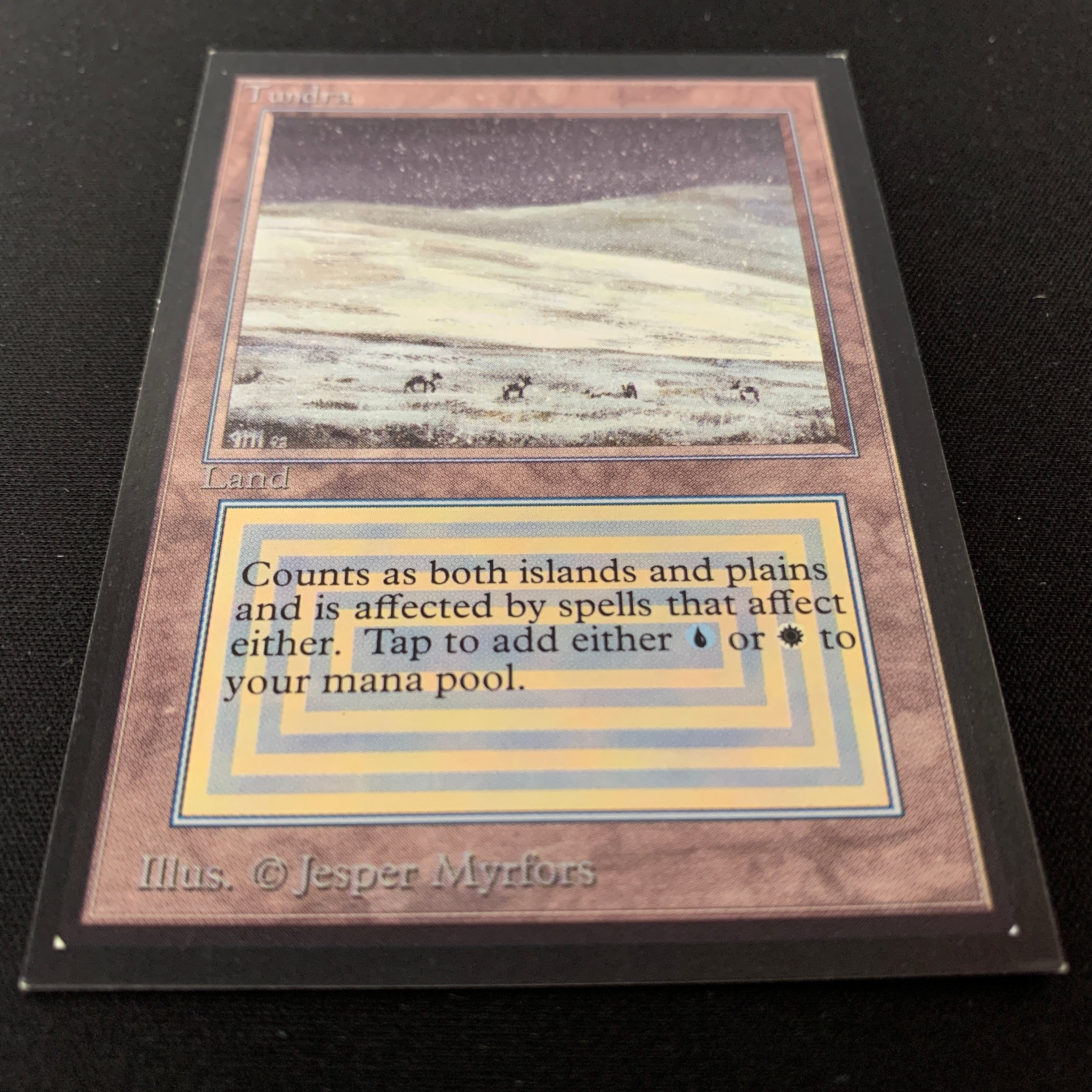 MTG Singles - Tundra - International Edition -