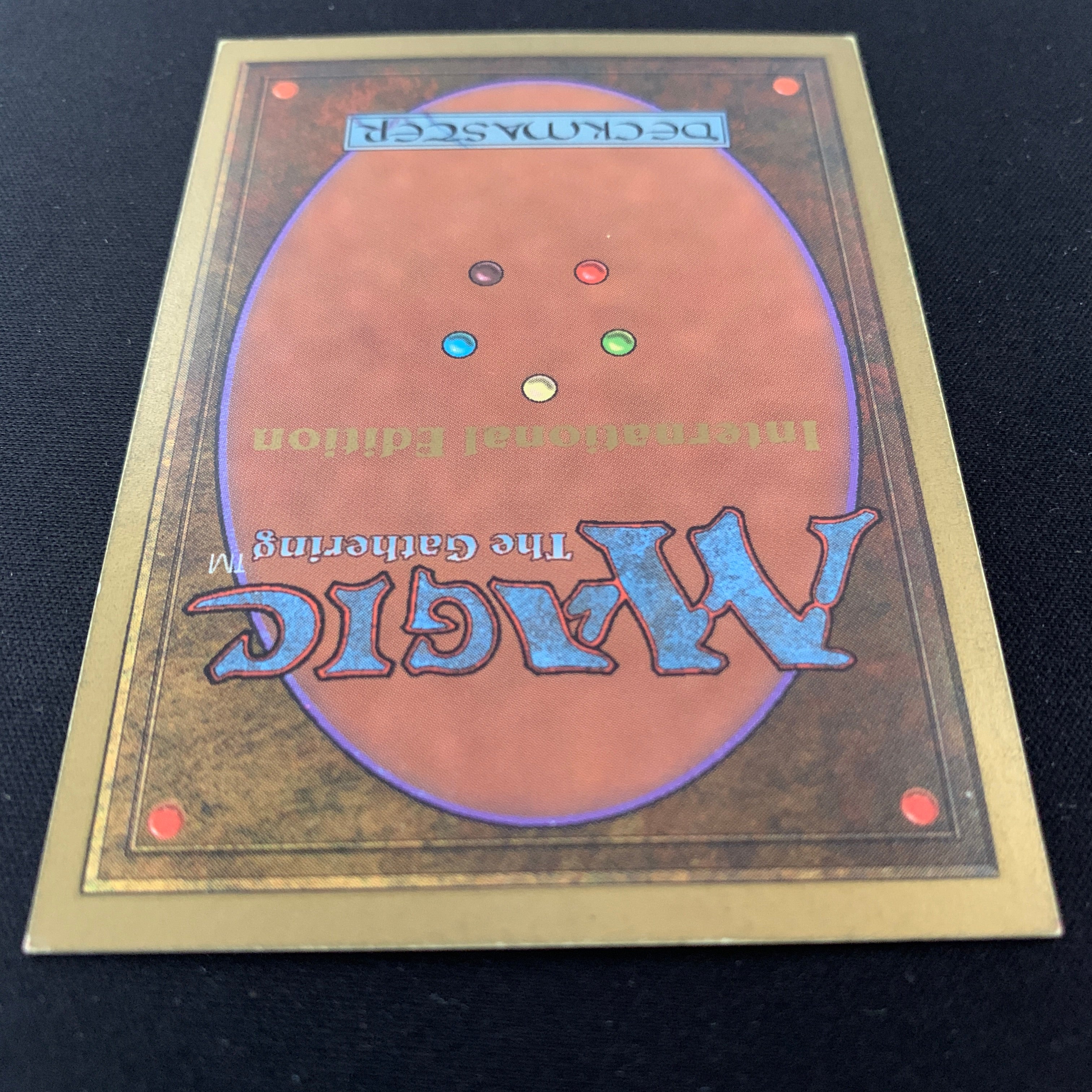 MTG Singles - Tundra - International Edition -