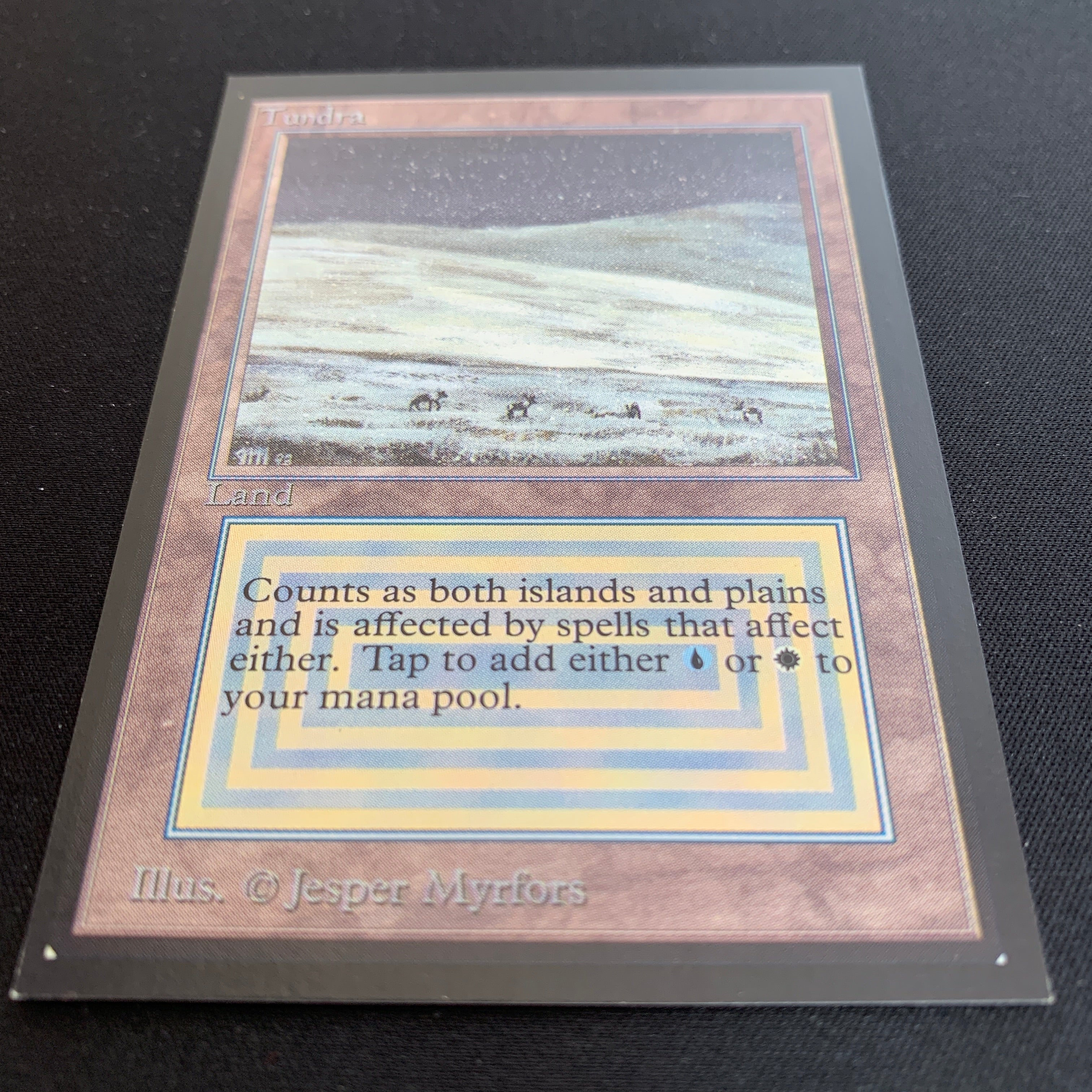 MTG Singles - Tundra - International Edition -