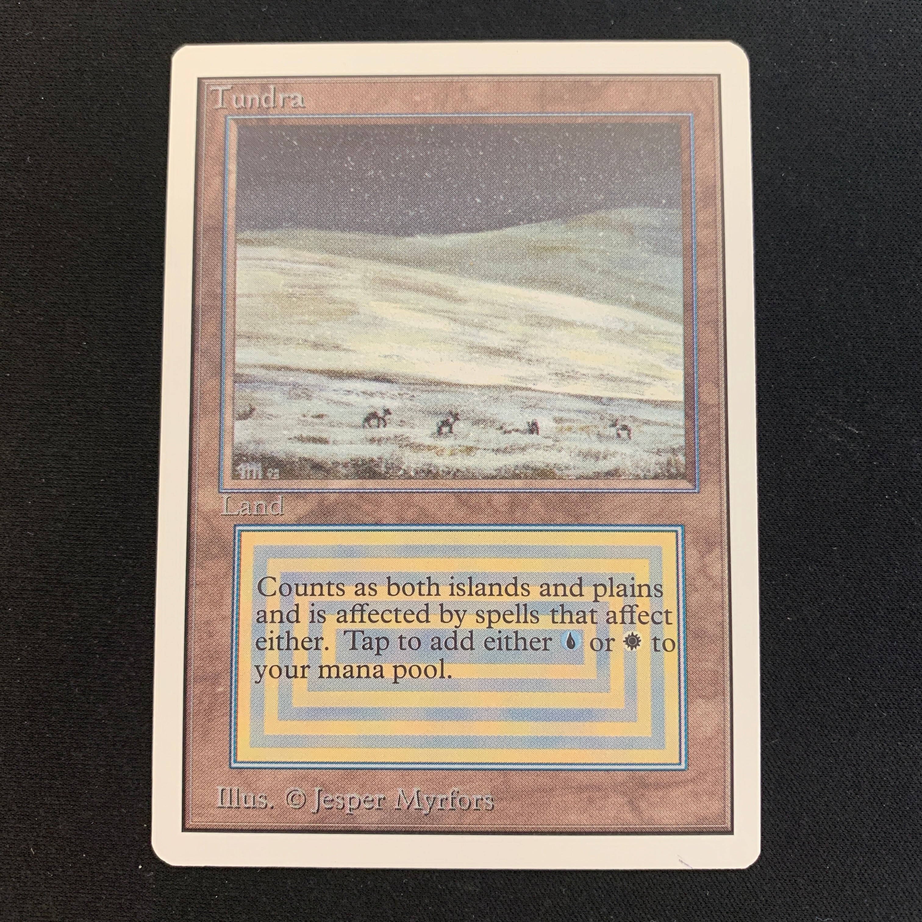 MTG Singles - Tundra - Unlimited -