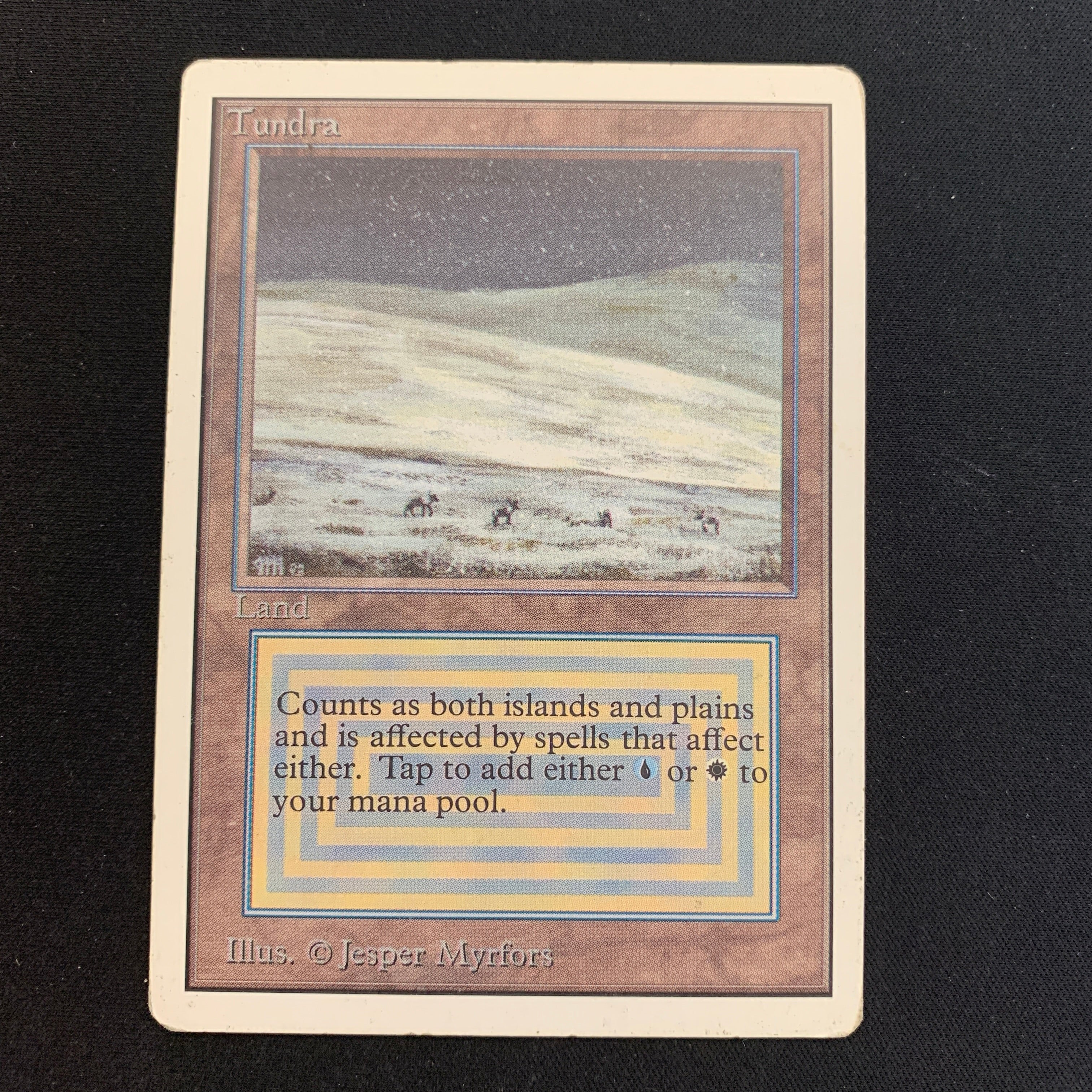 MTG Singles - Tundra - Unlimited -