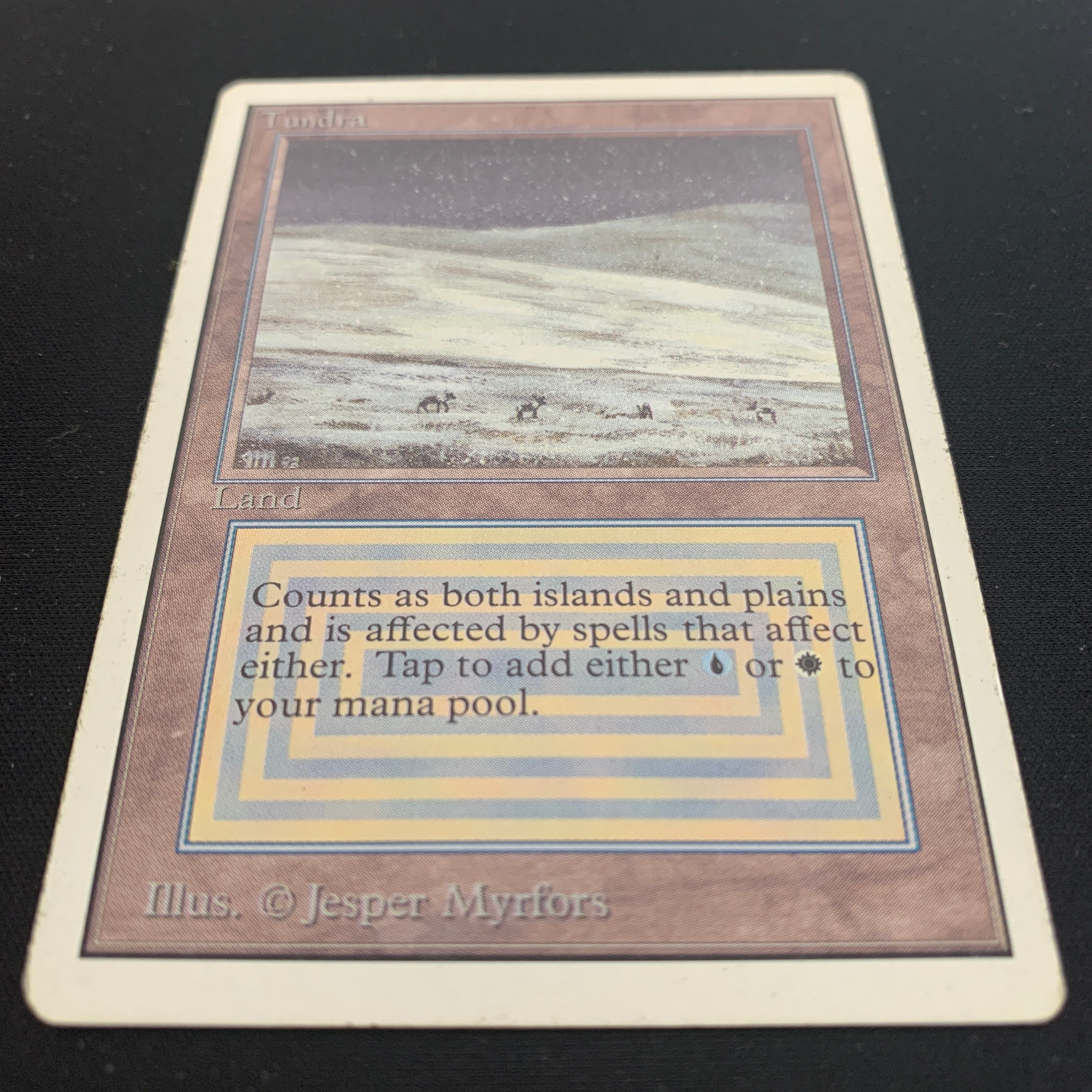 MTG Singles - Tundra - Unlimited -