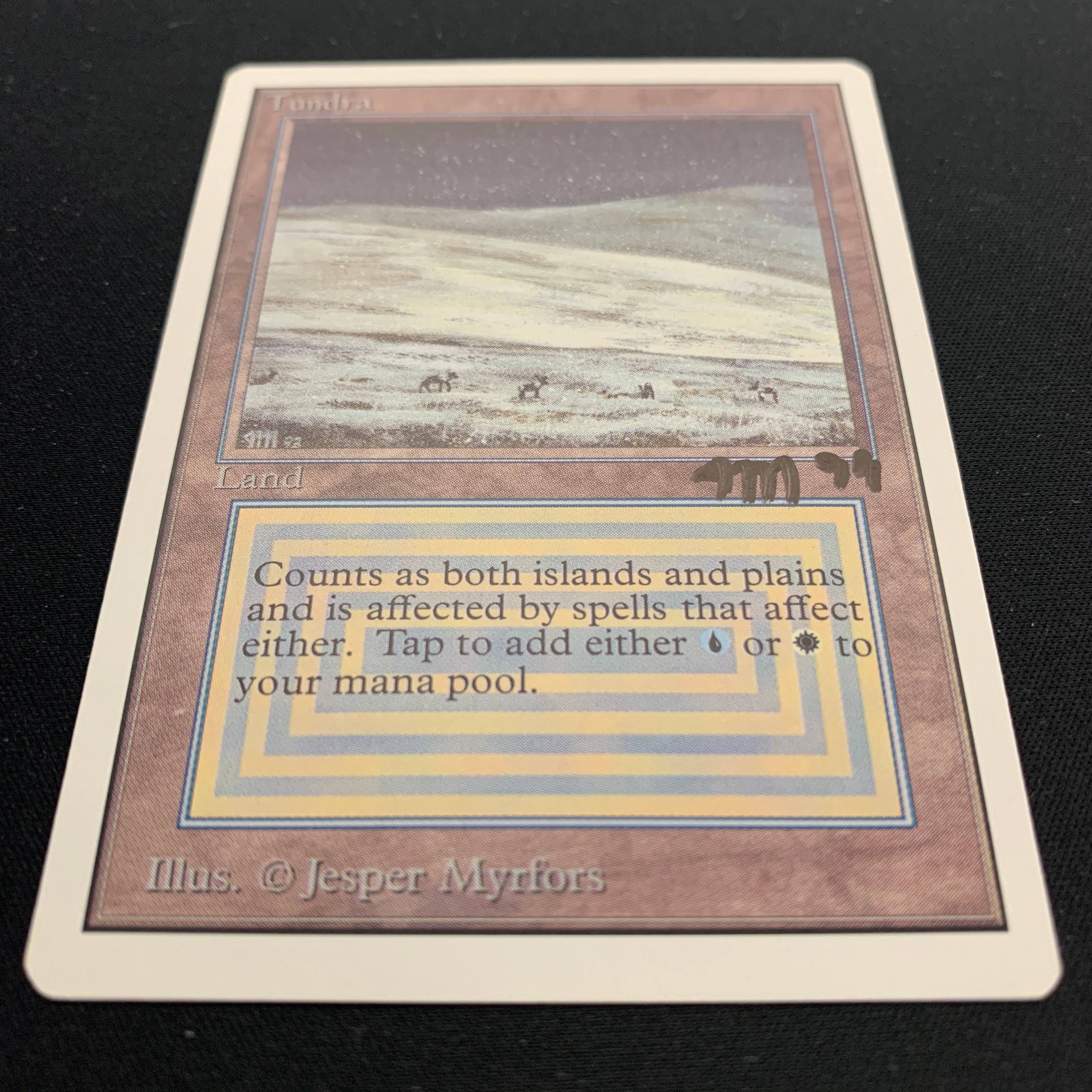 MTG Singles - Tundra - Unlimited -