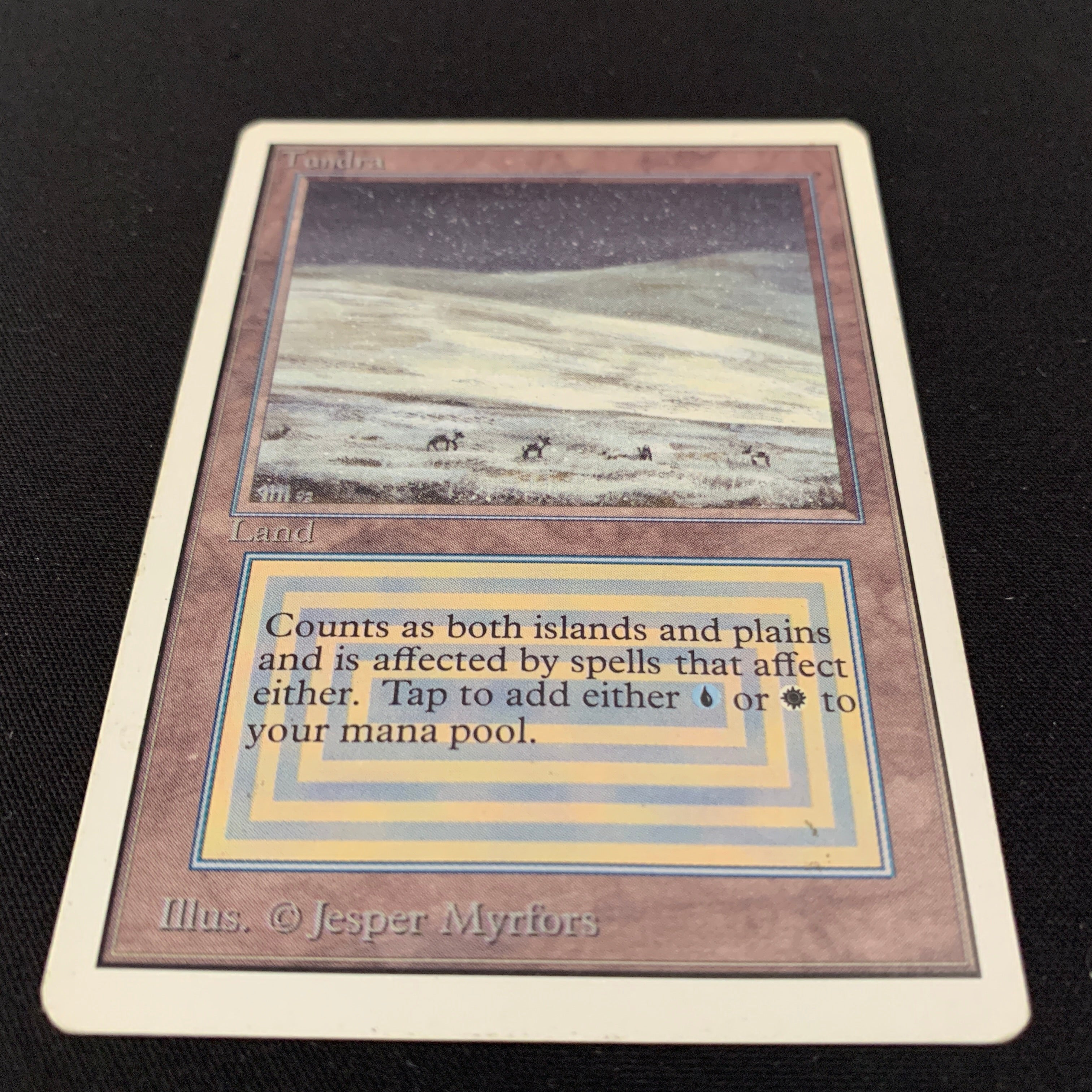 MTG Singles - Tundra - Unlimited -