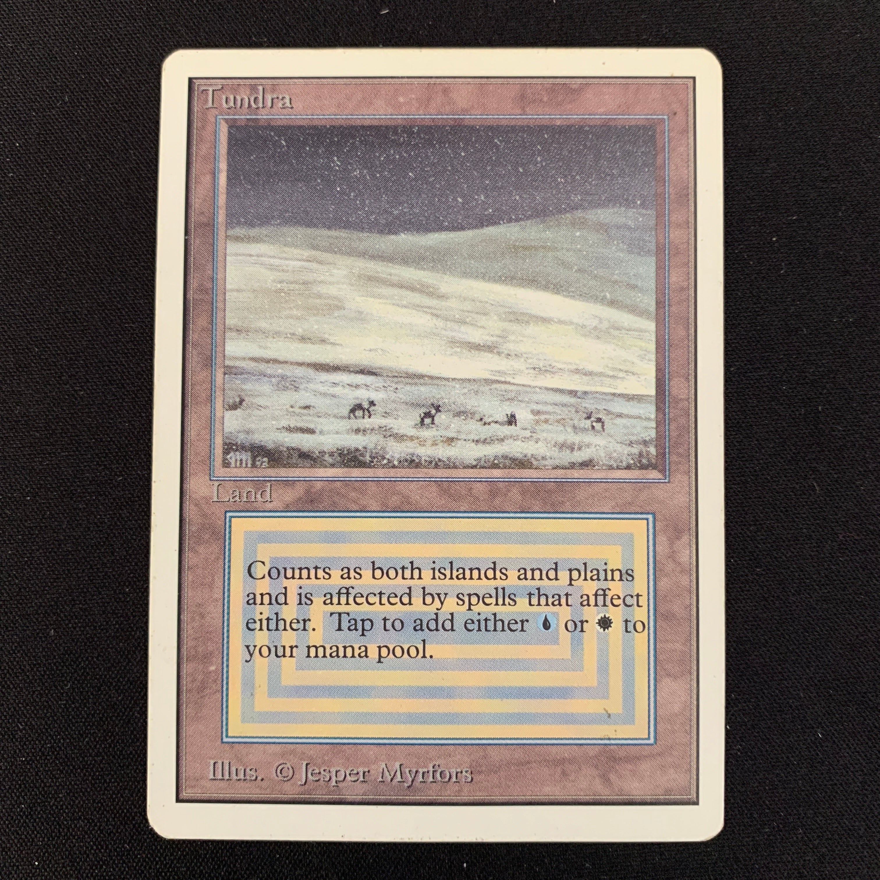MTG Singles - Tundra - Unlimited -