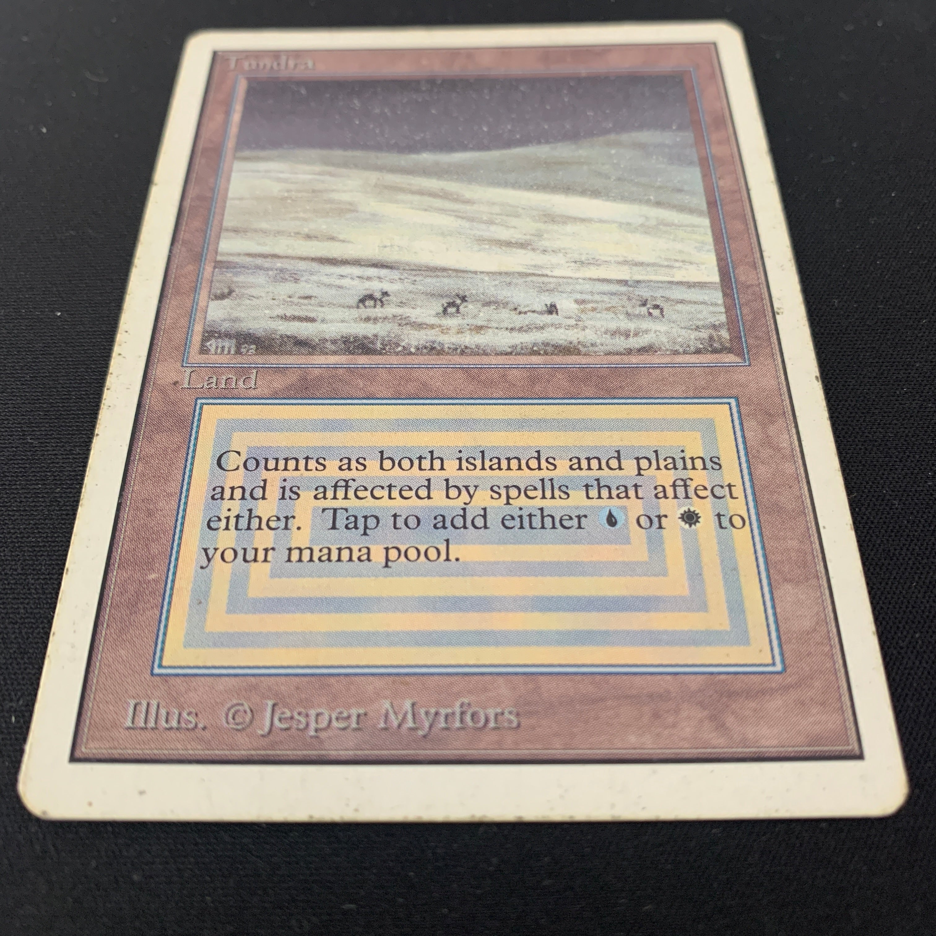 MTG Singles - Tundra - Unlimited -