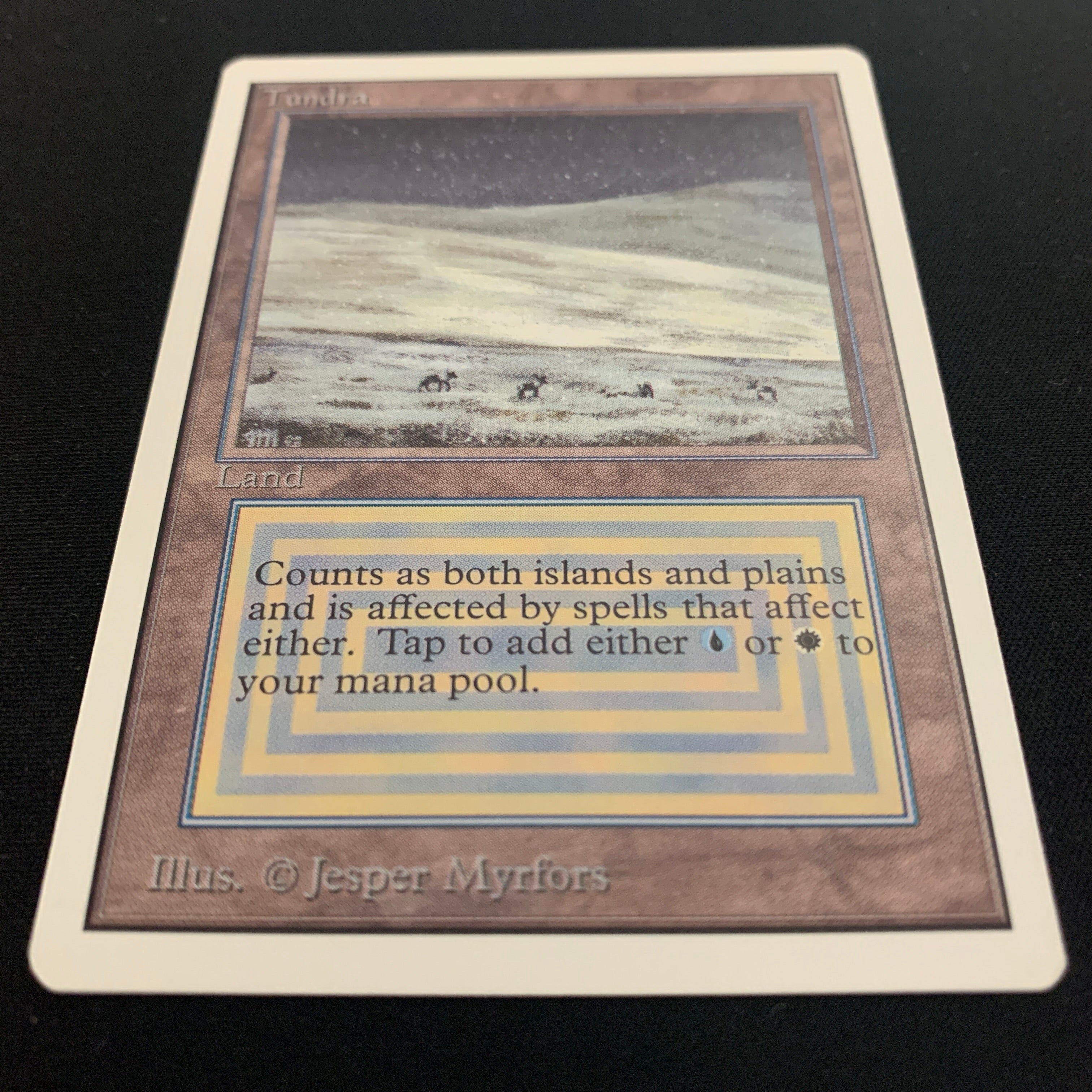 MTG Singles - Tundra - Unlimited -