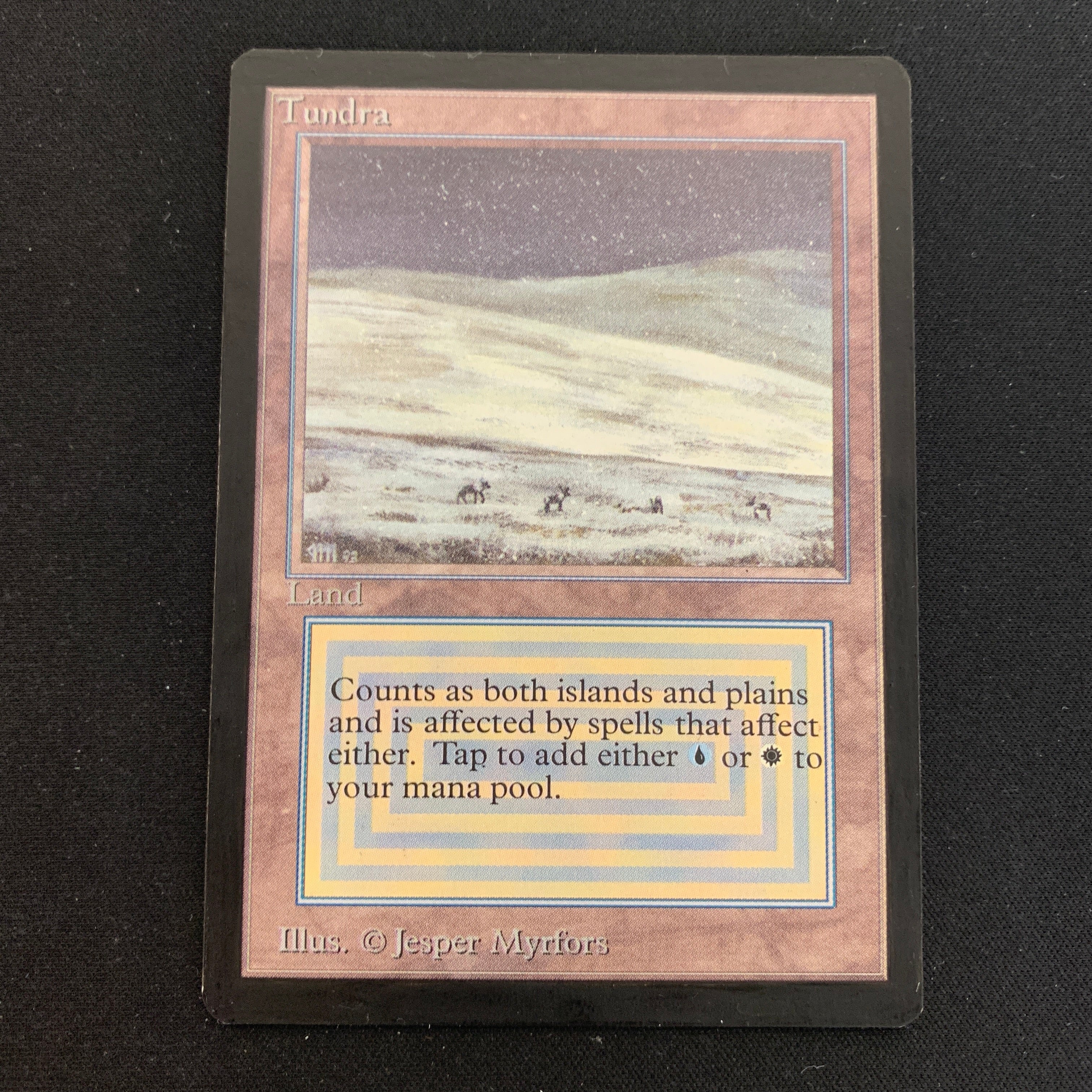 MTG Singles - Tundra - Unlimited -