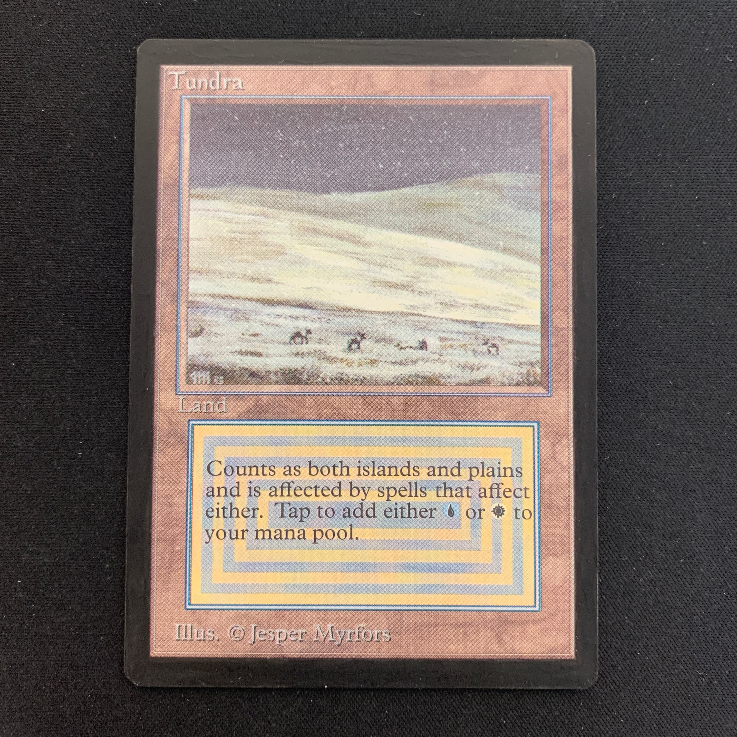MTG Singles - Tundra - Unlimited -