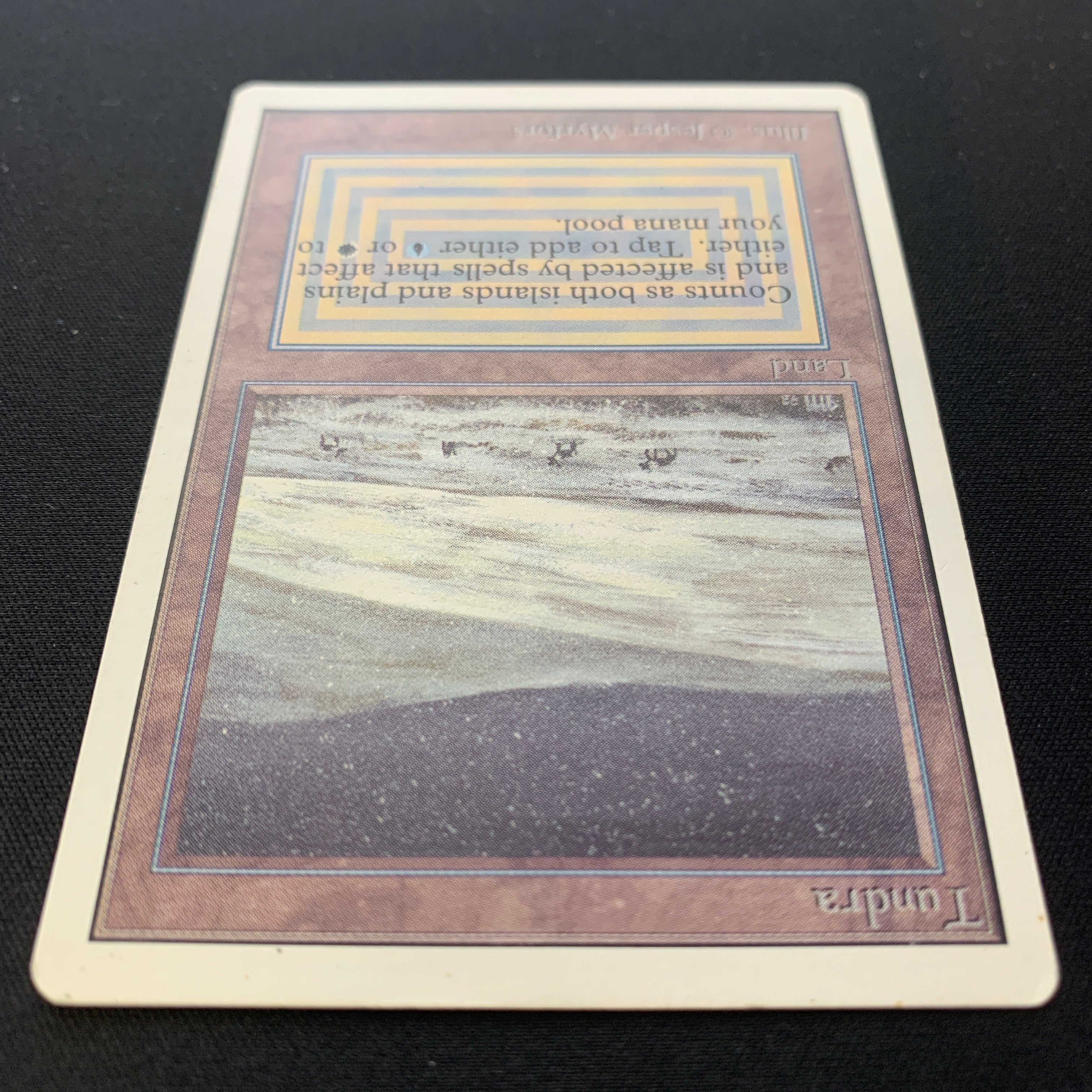 MTG Singles - Tundra - Unlimited -