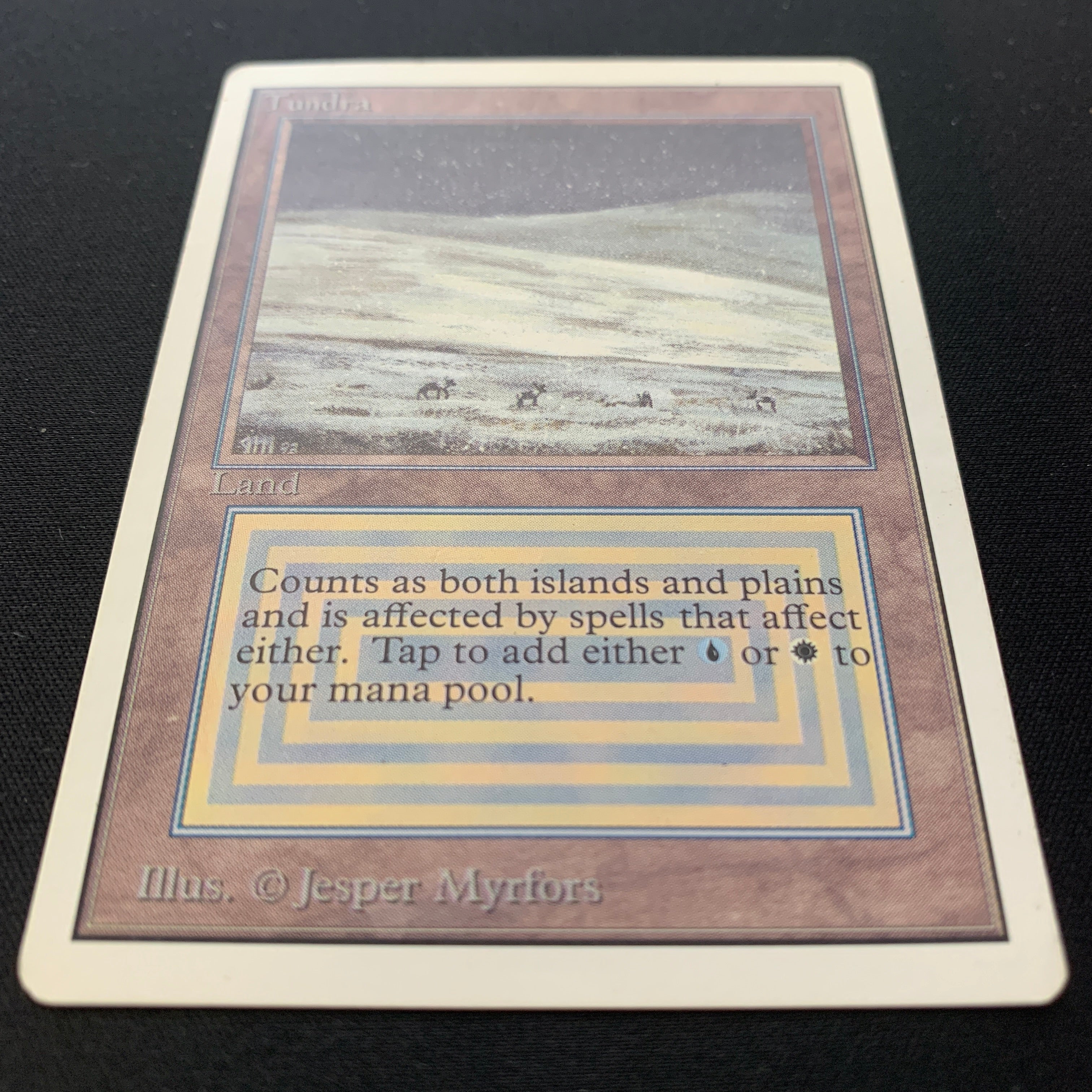 MTG Singles - Tundra - Unlimited -