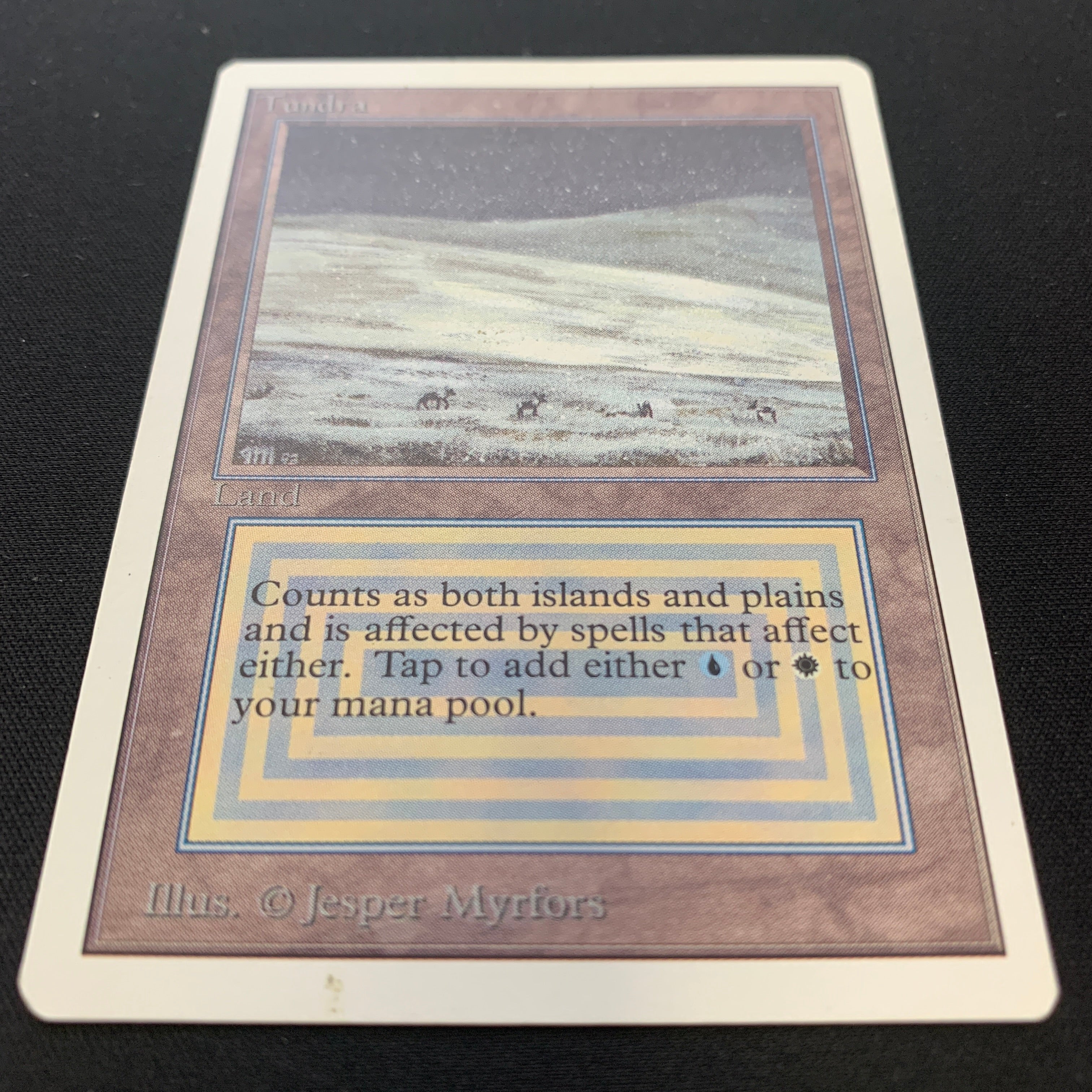 MTG Singles - Tundra - Unlimited -