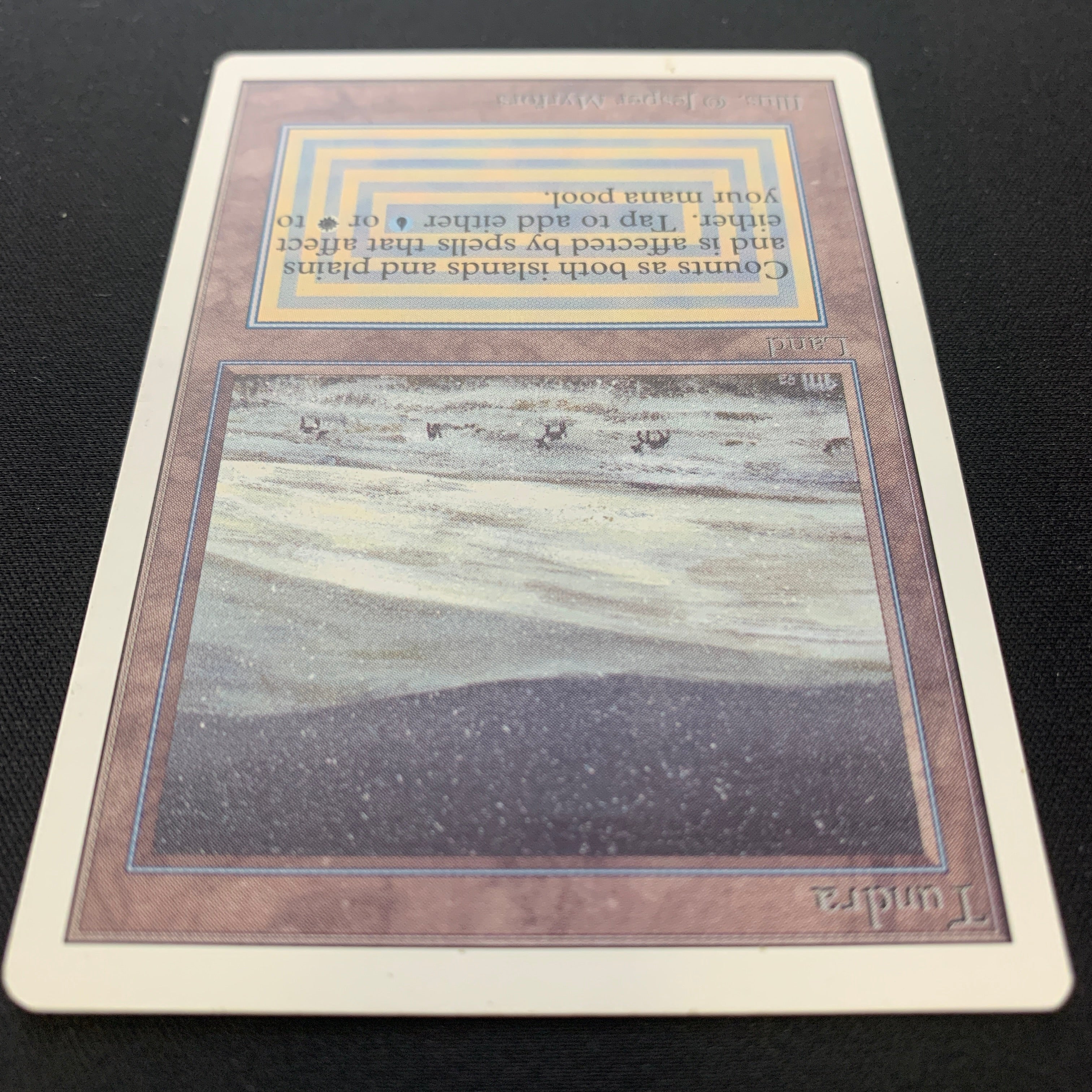 MTG Singles - Tundra - Unlimited -