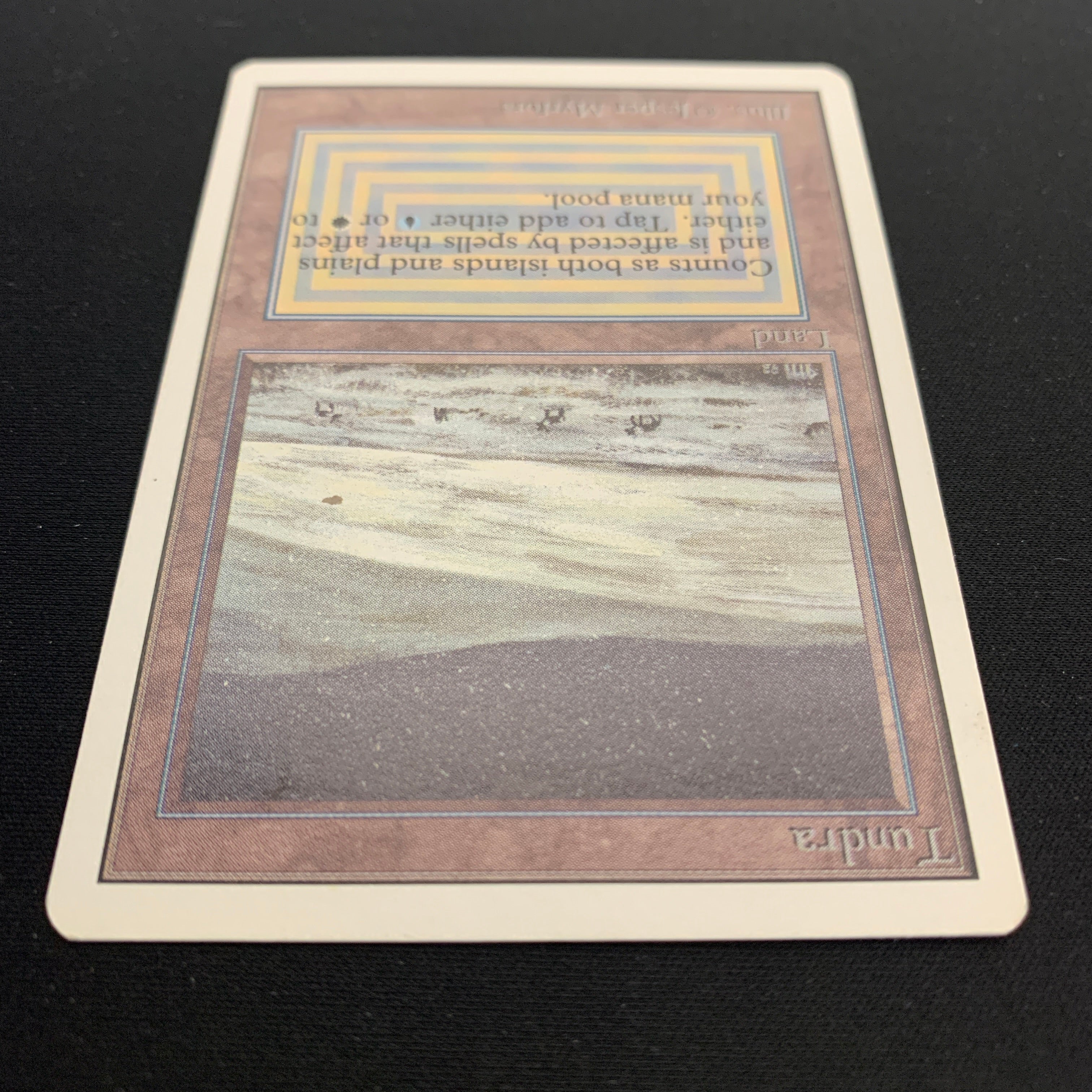 MTG Singles - Tundra - Unlimited -