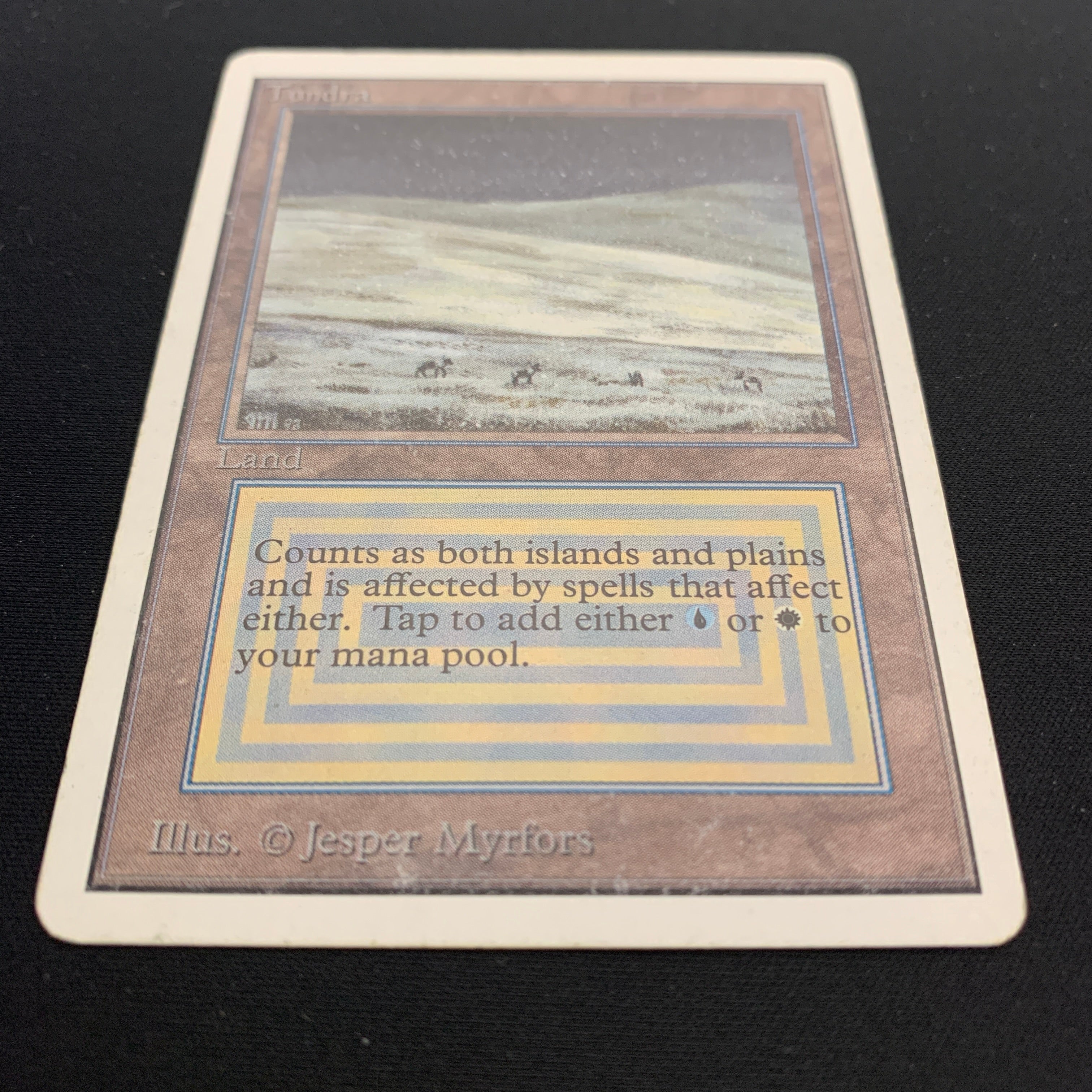 MTG Singles - Tundra - Unlimited -