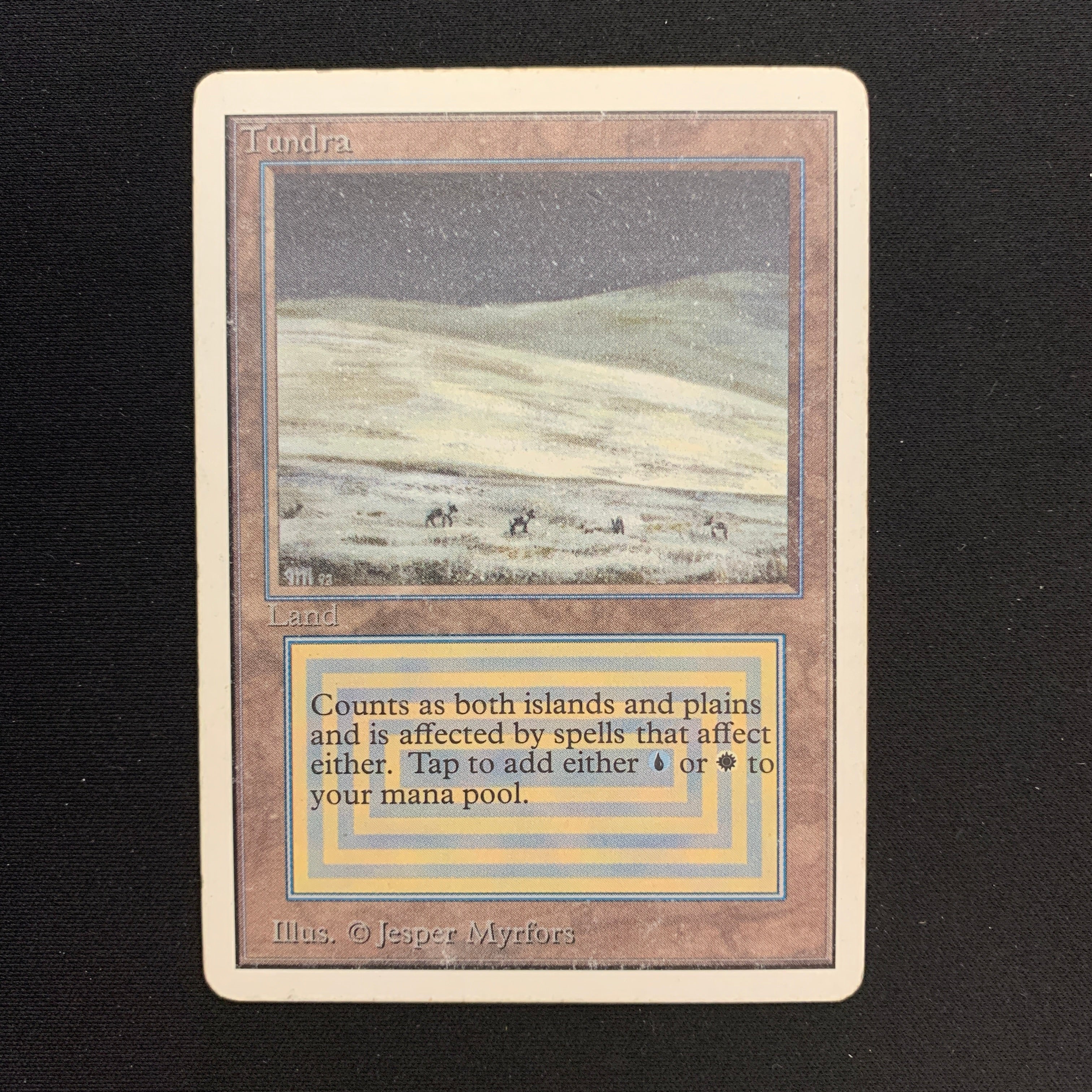 MTG Singles - Tundra - Unlimited -