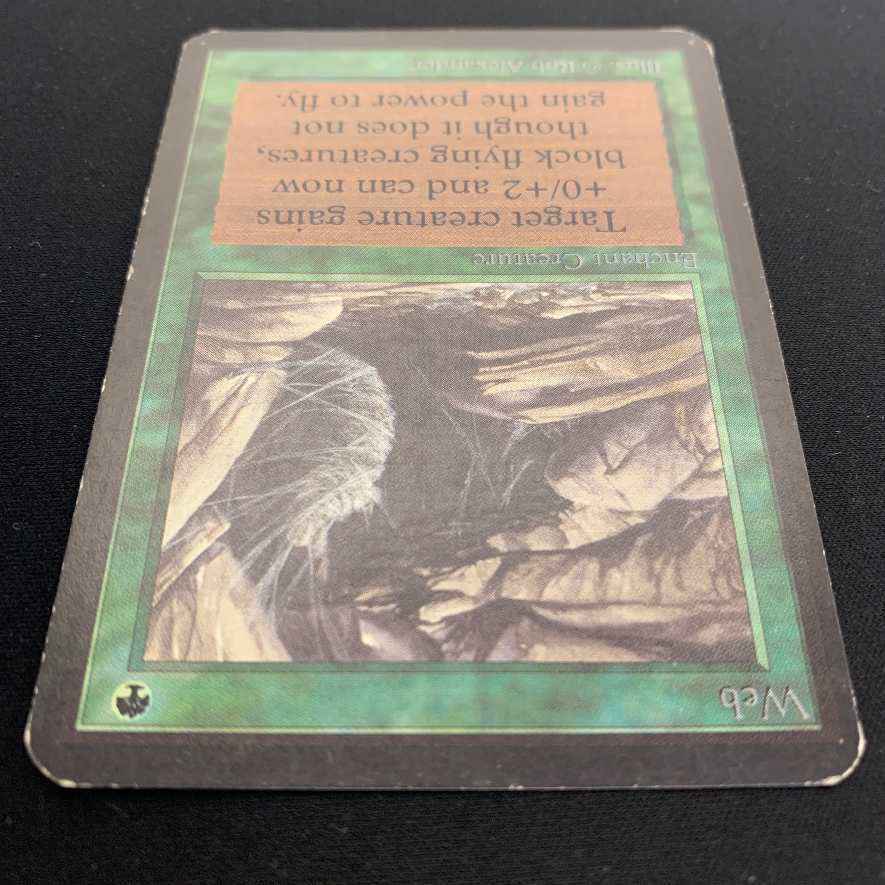 MTG Singles - Web - Alpha -