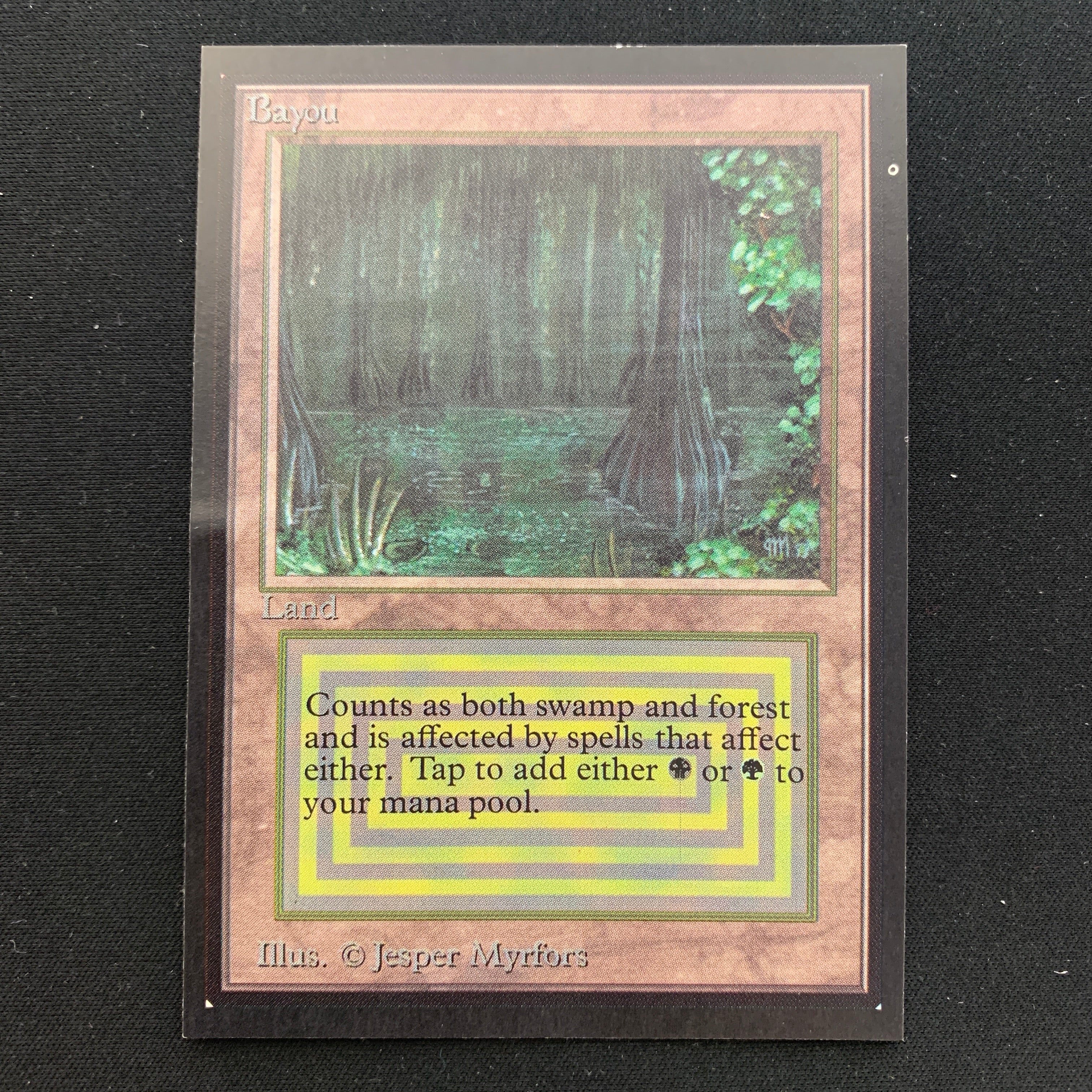 MTG Singles - Bayou - Collectors' Edition -