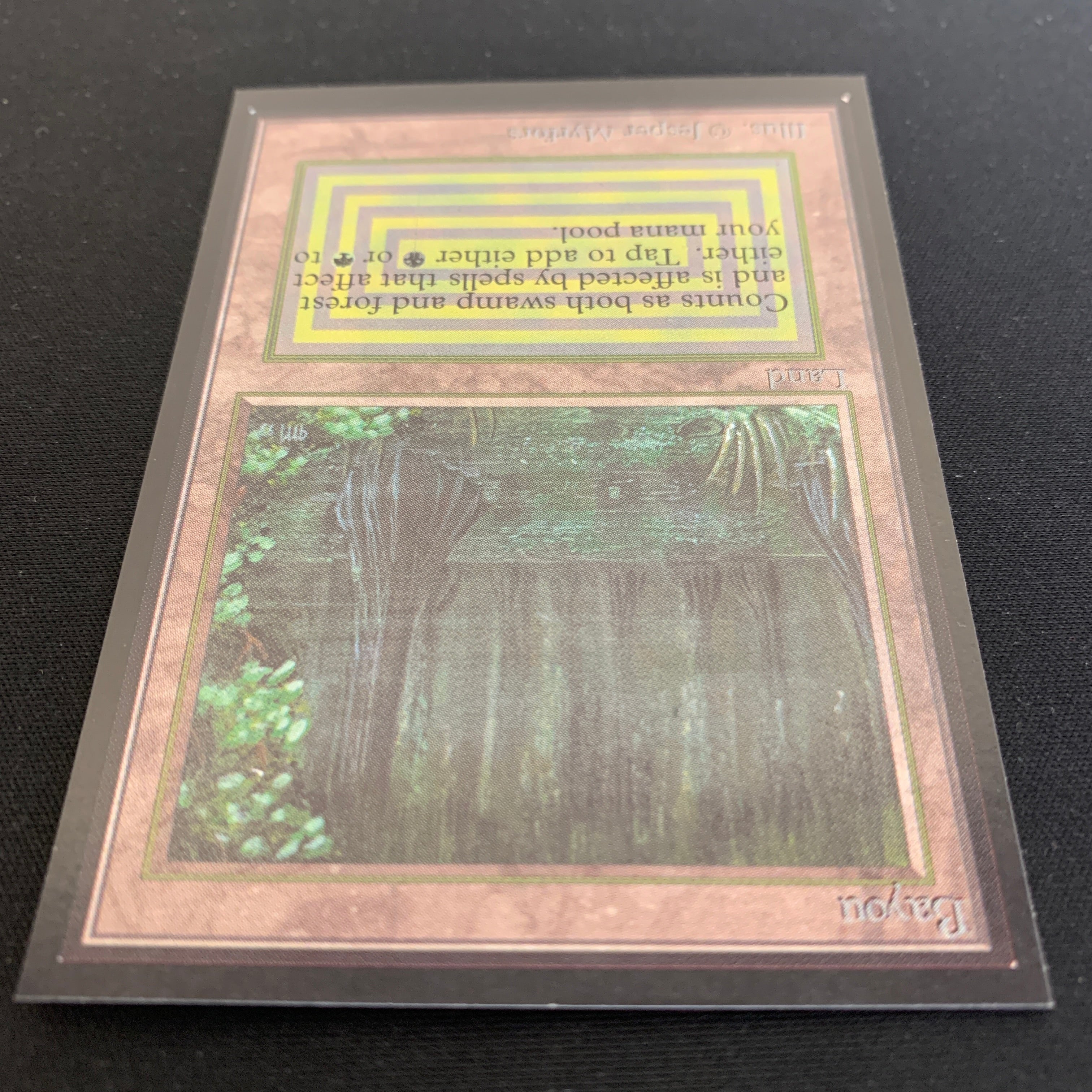 MTG Singles - Bayou - International Edition -