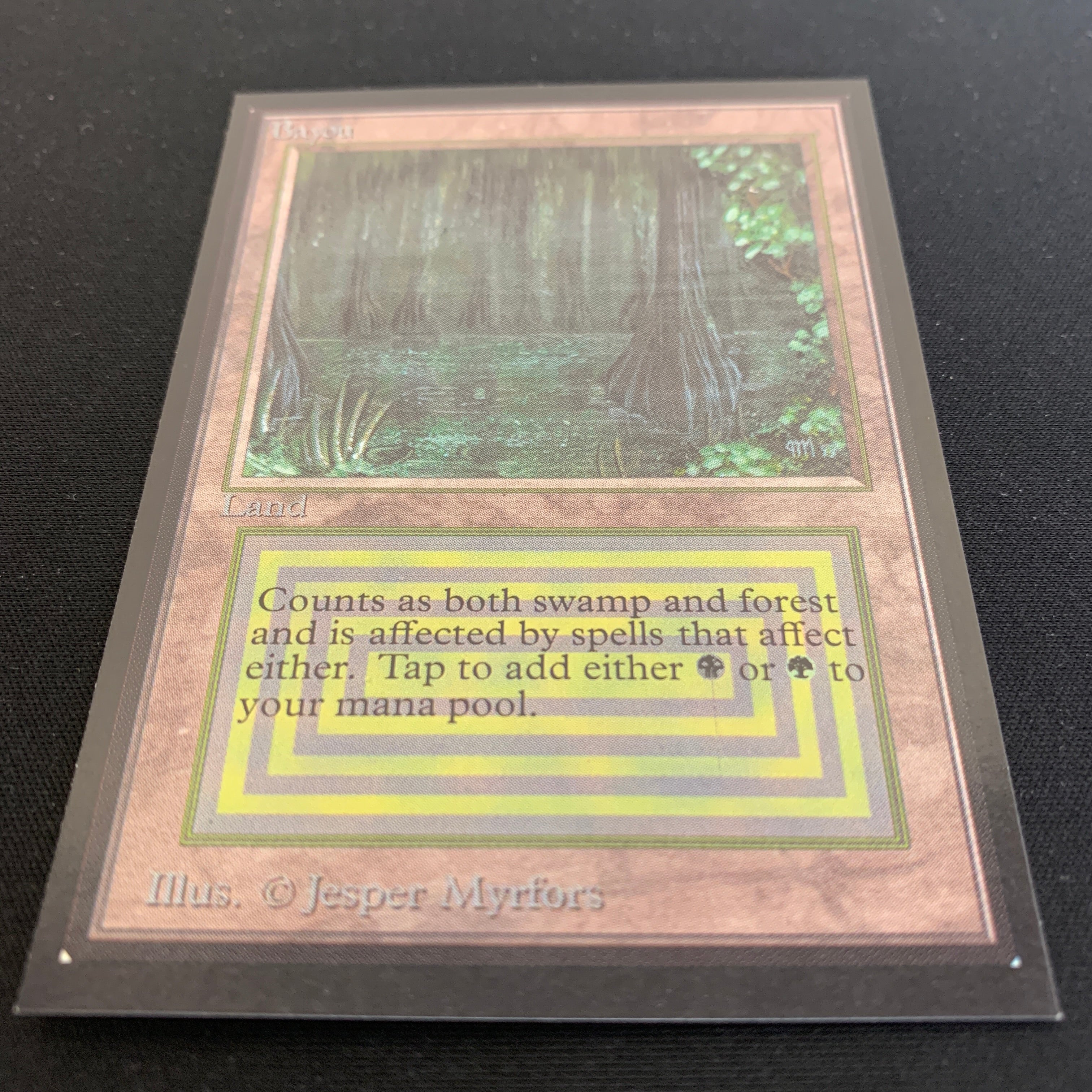 MTG Singles - Bayou - International Edition -