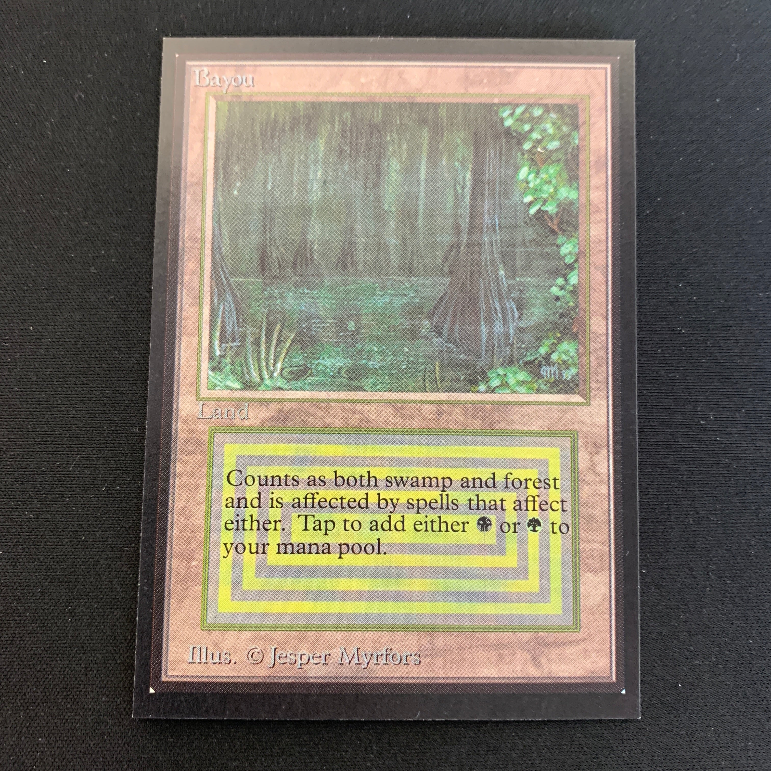MTG Singles - Bayou - International Edition -